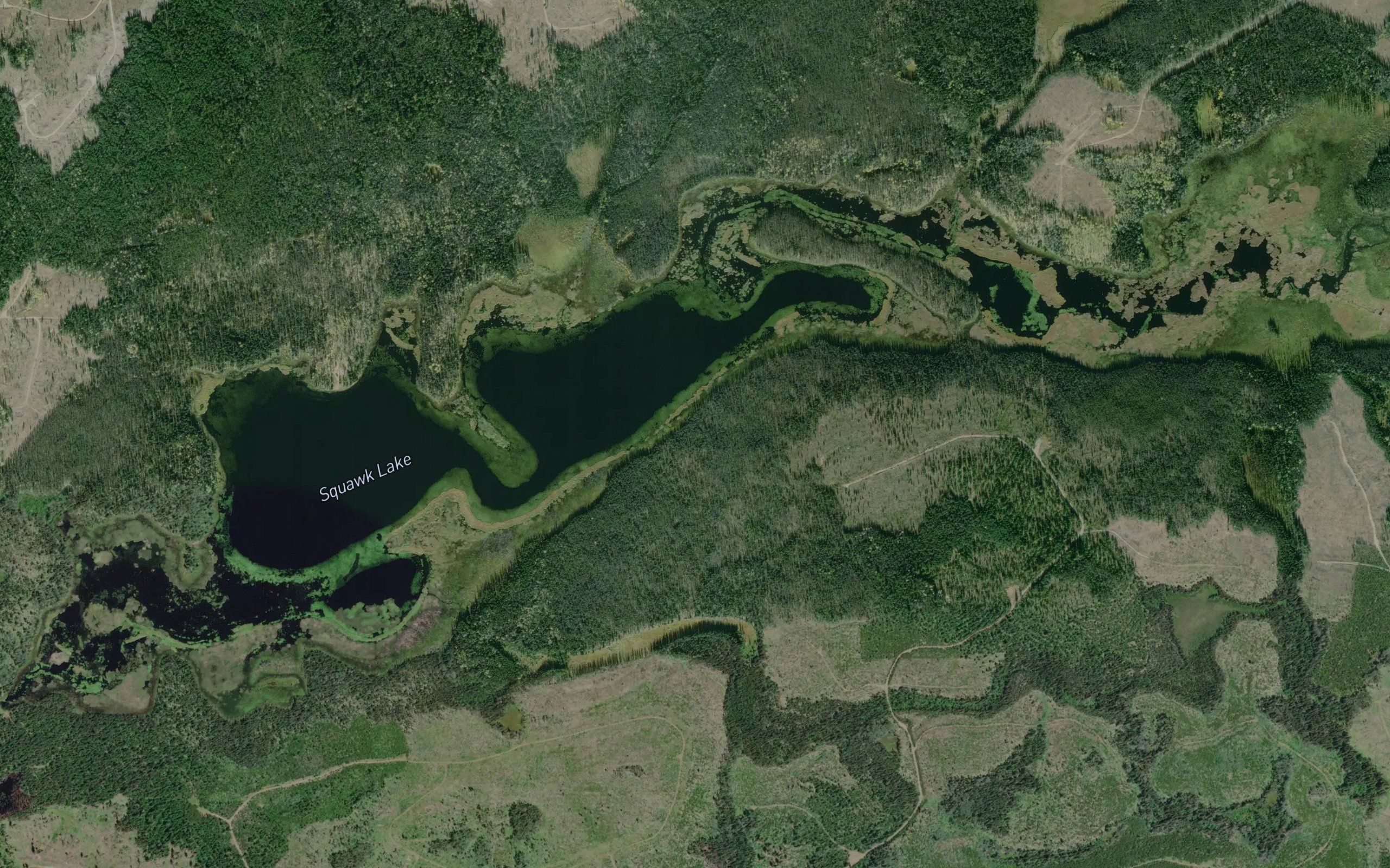 Squawk Lake