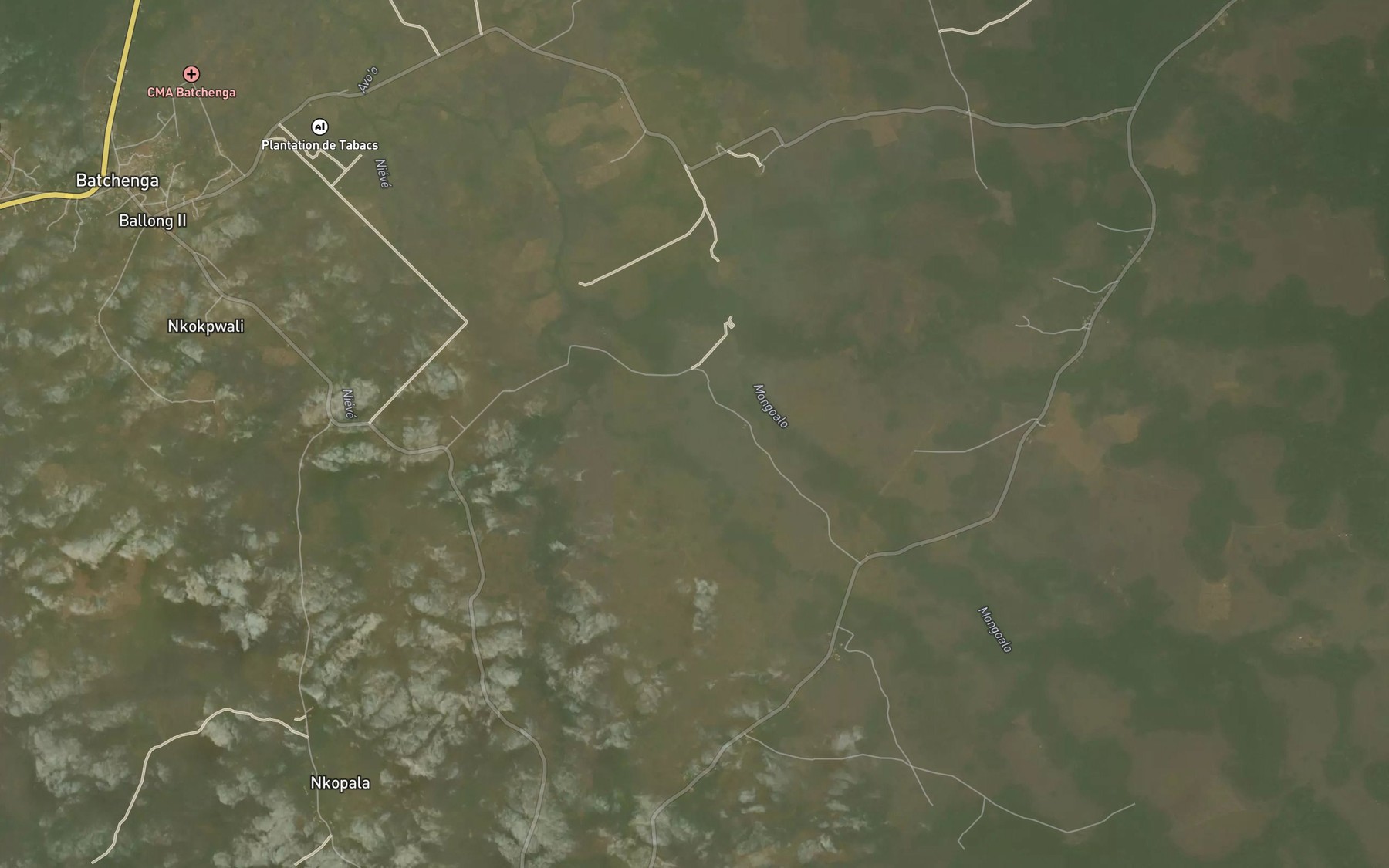 Satellite map of the Mongoalo