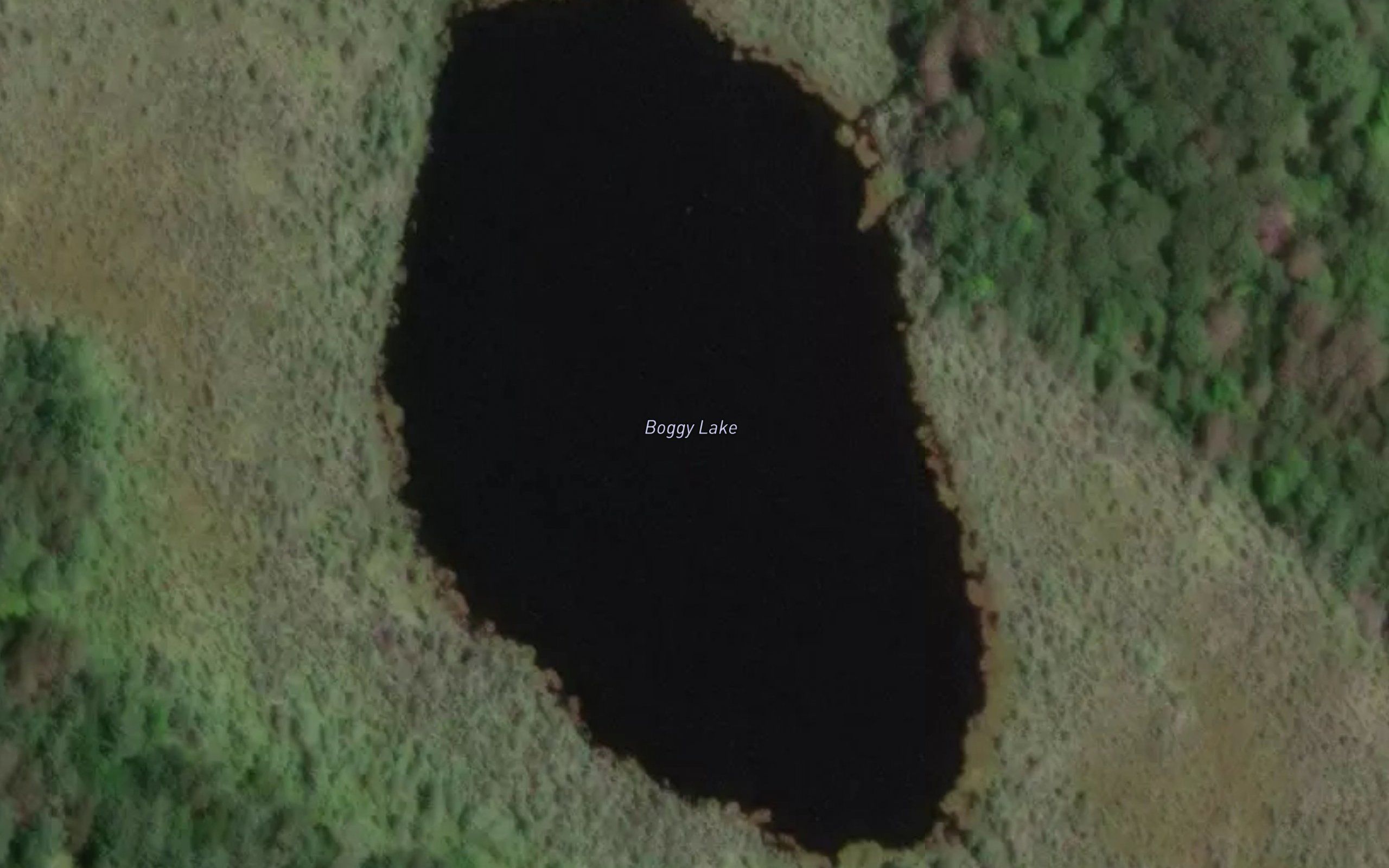 Boggy Lake