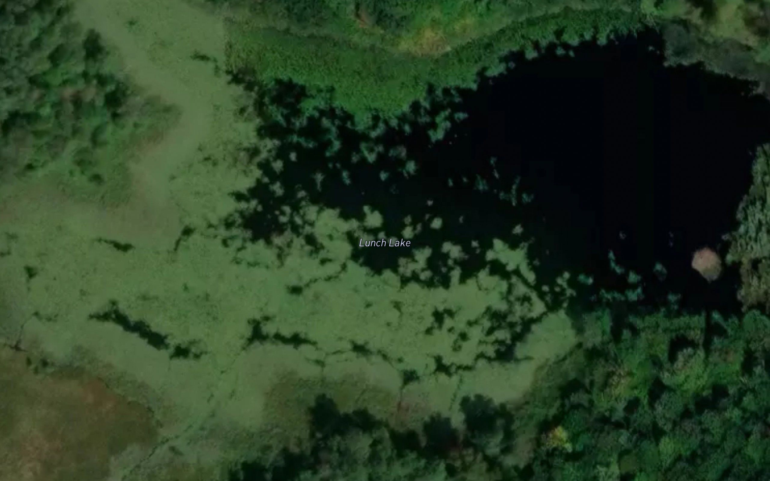 Lunch Lake