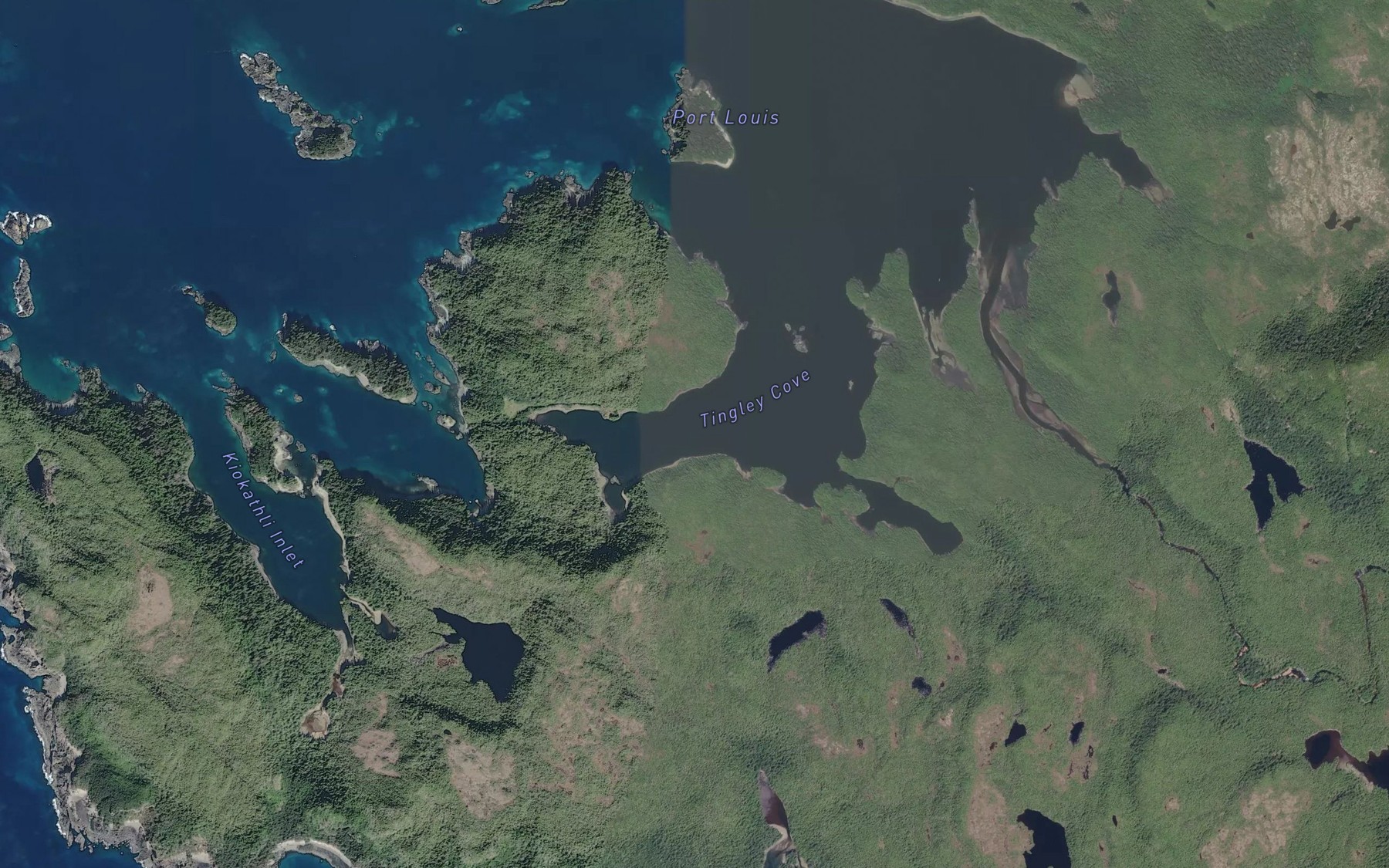 Satellite map of the Tingley Cove