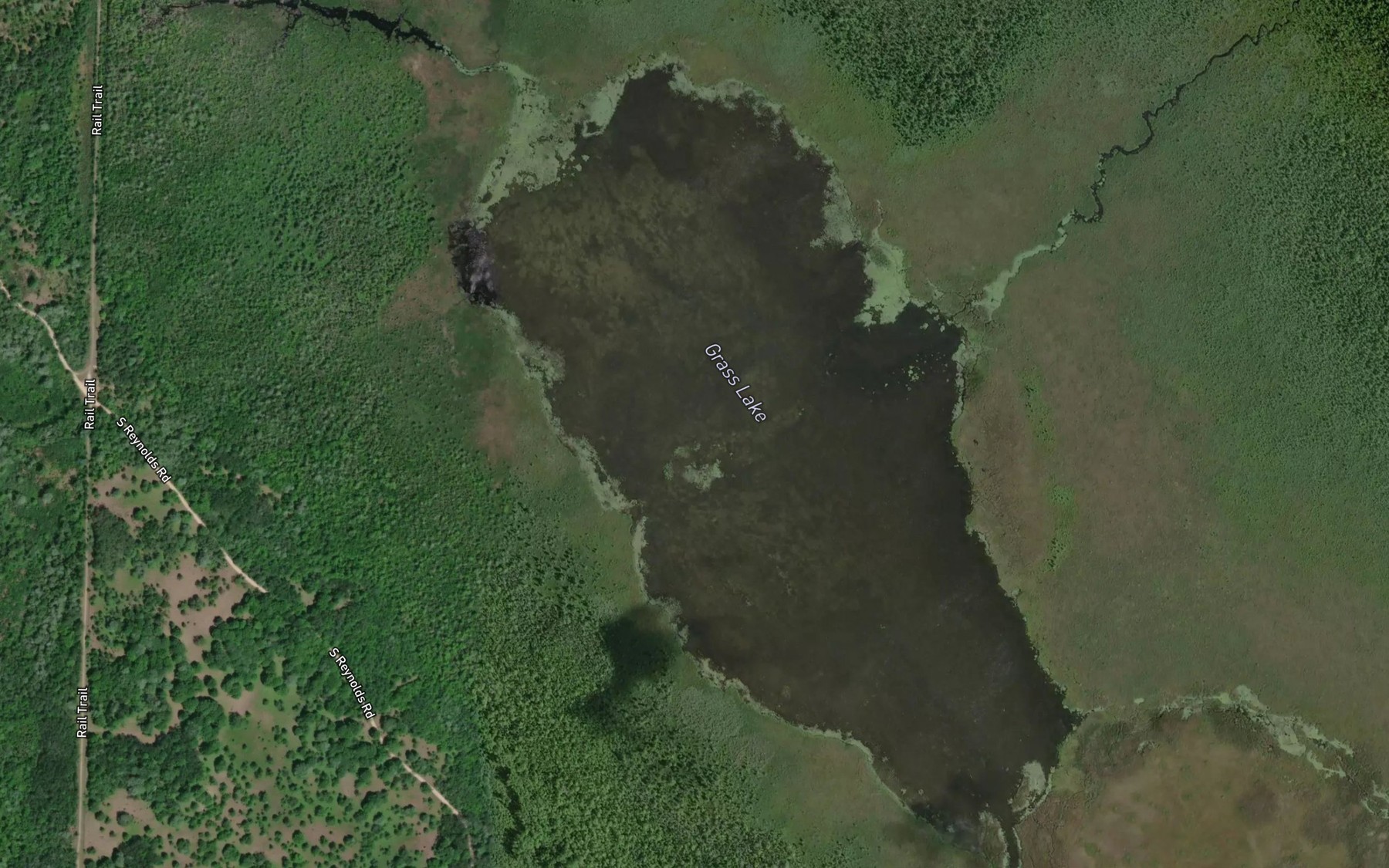 Satellite map of the Grass Lake