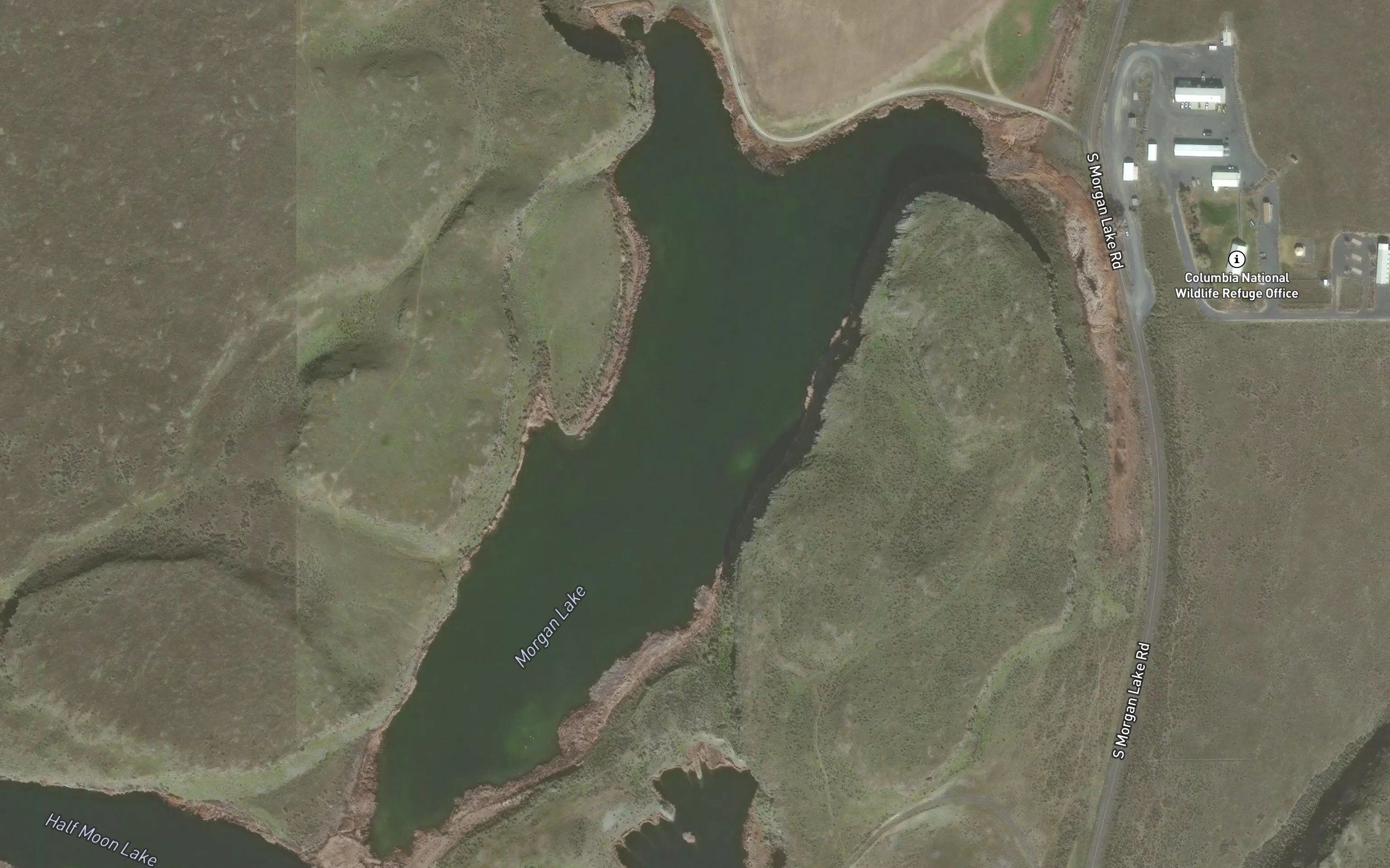 Morgan Lake