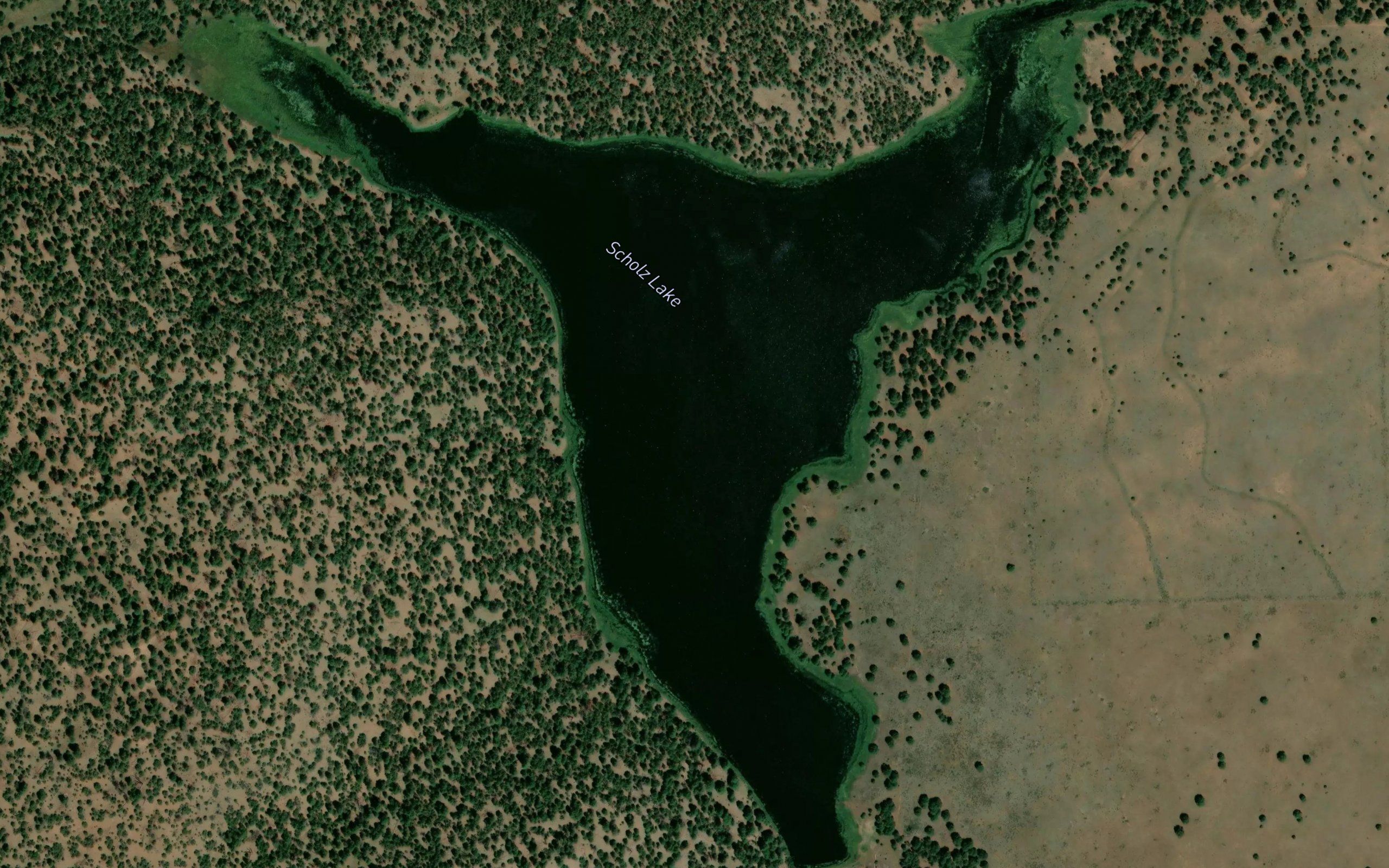 Scholz Lake