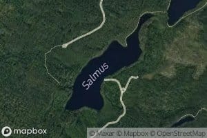 Salmus