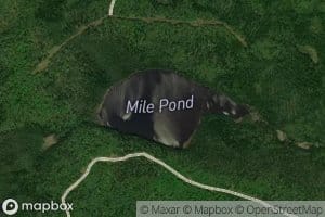 Mile Pond