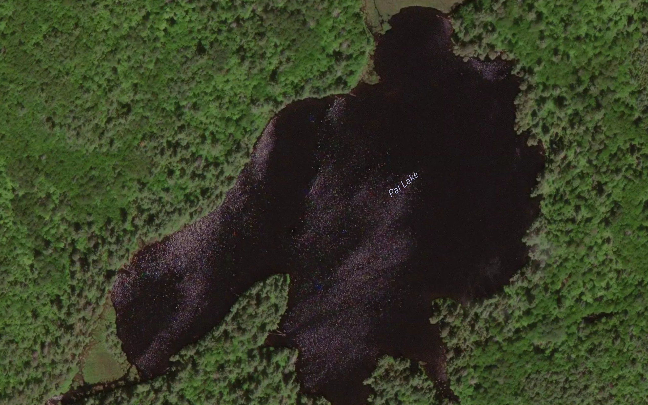 Pat Lake