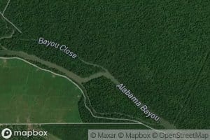 Bayou Close