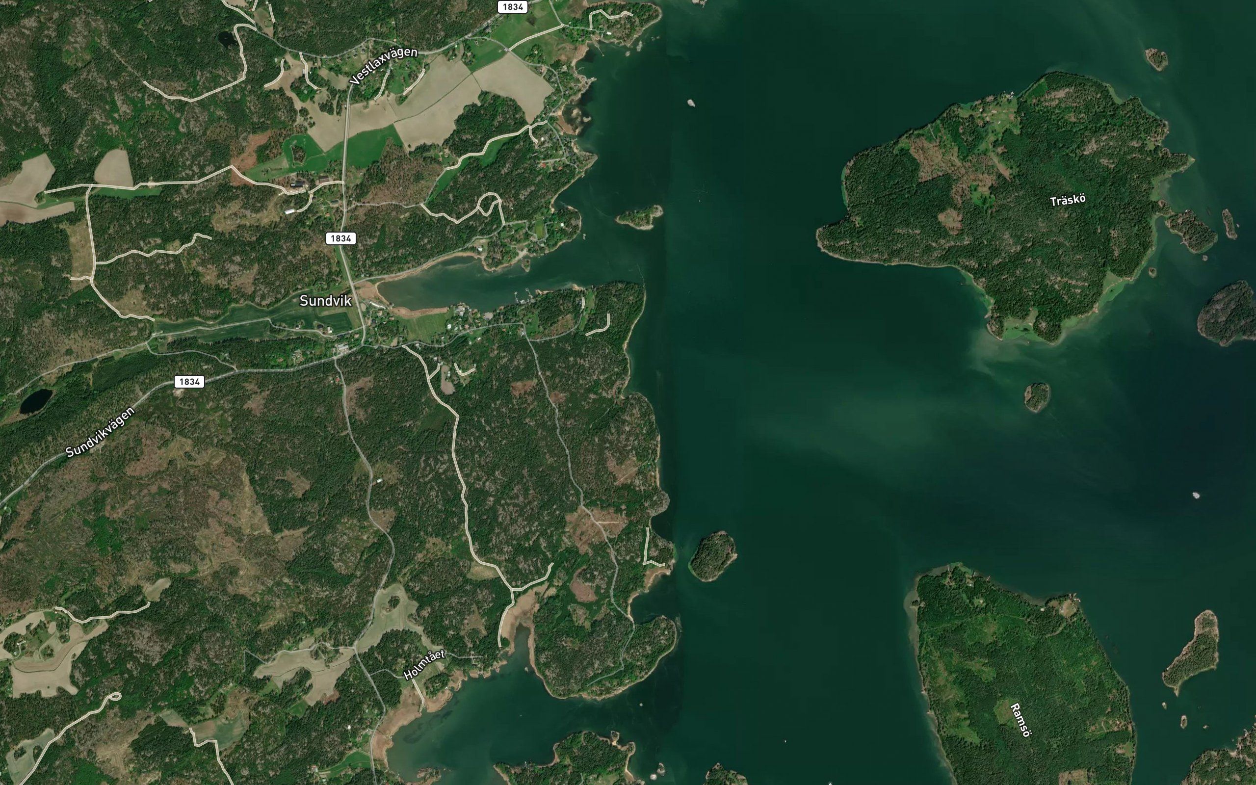 Morkviken