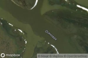 Osinovaya