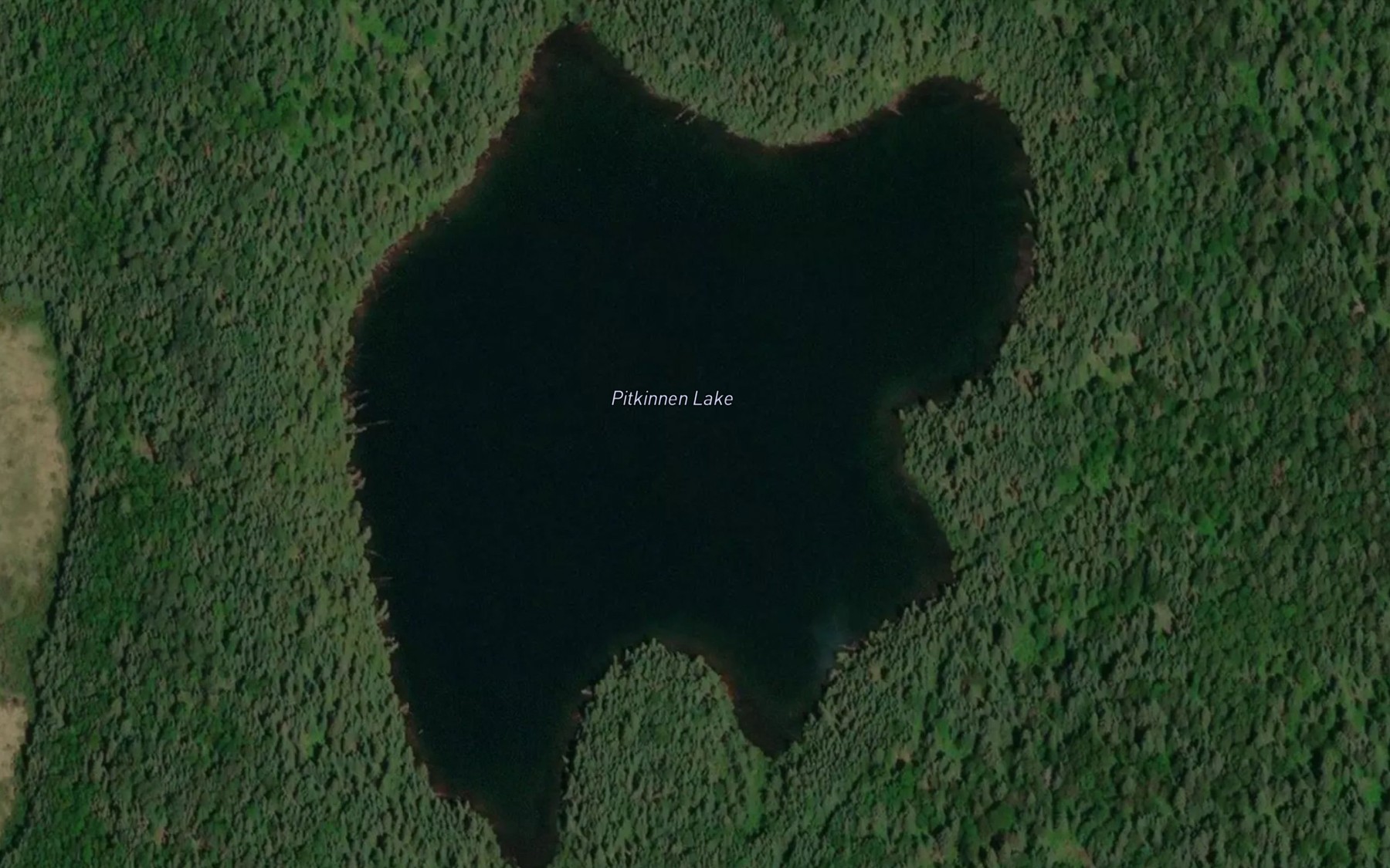 Satellite map of the Pitkinnen Lake
