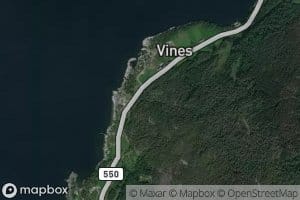 Vinesbekken