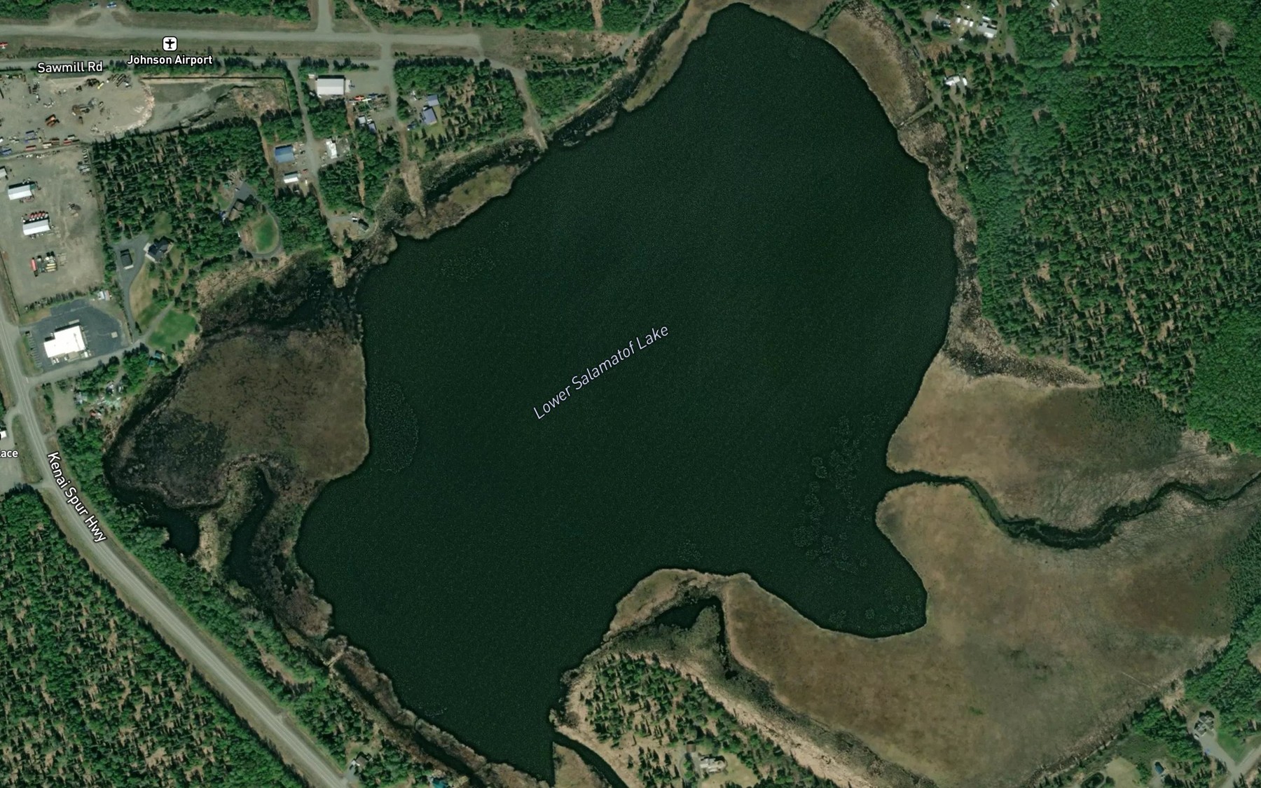 Satellite map of the Lower Salamatof Lake