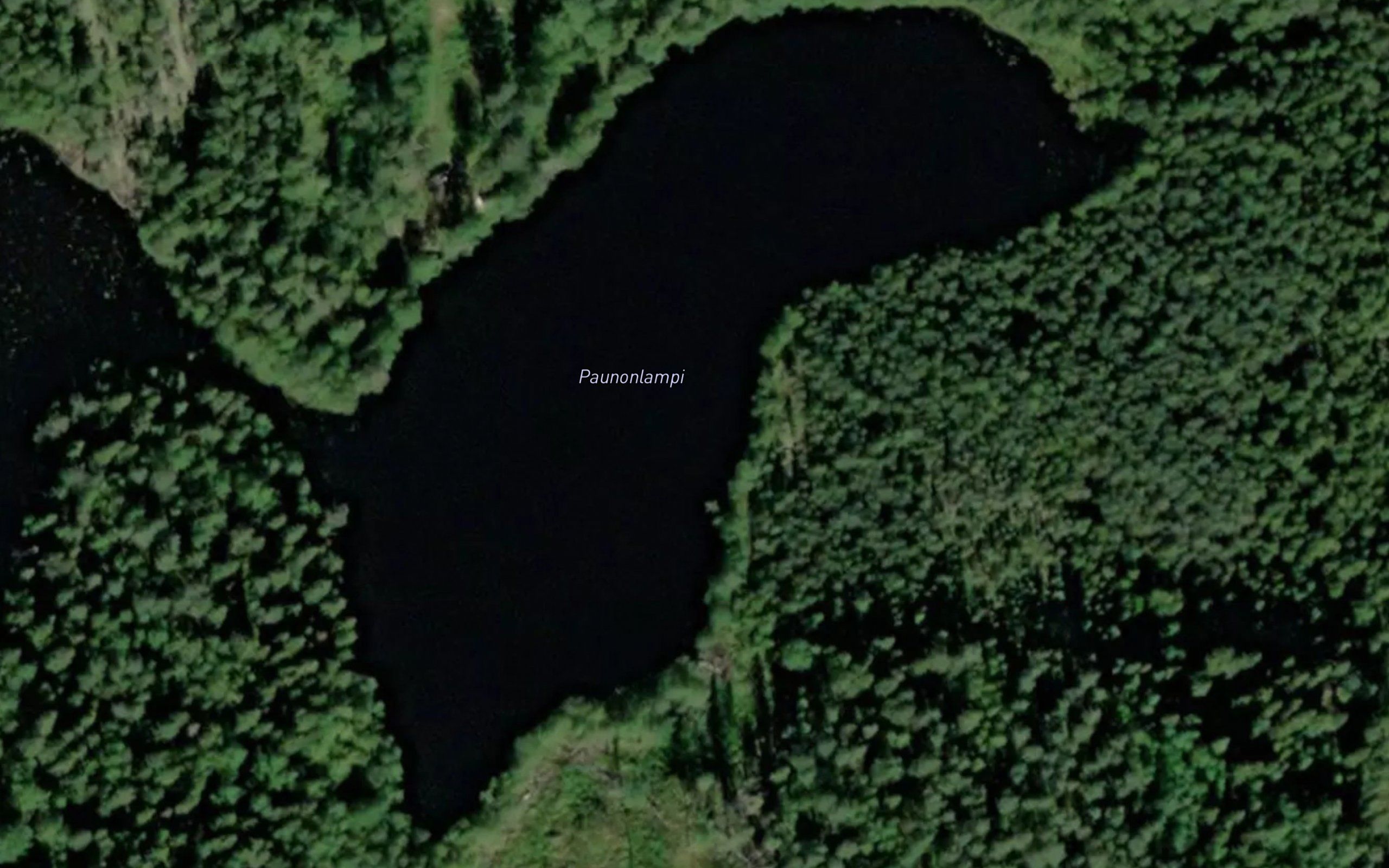 Paunonlampi