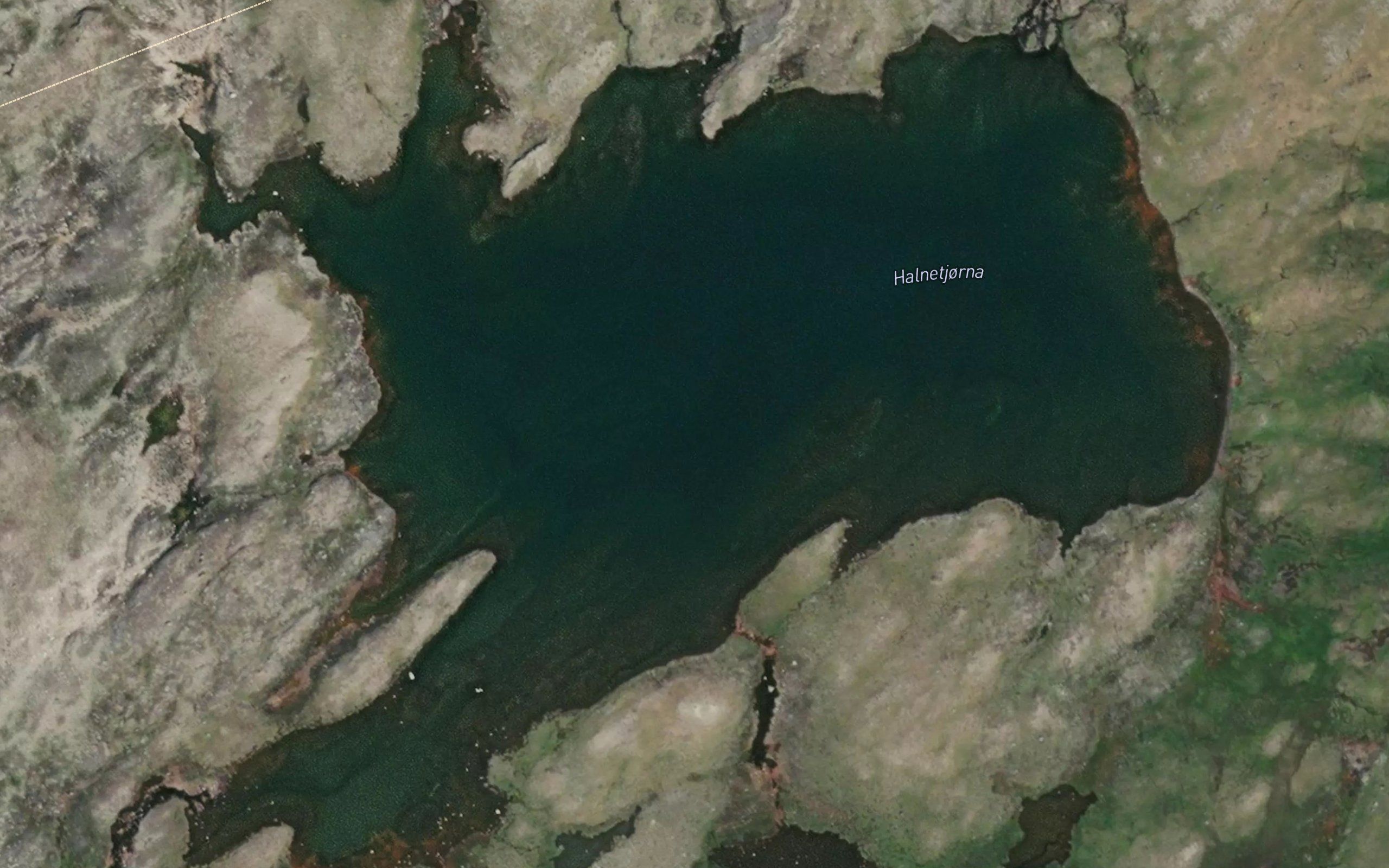Halnetjorni