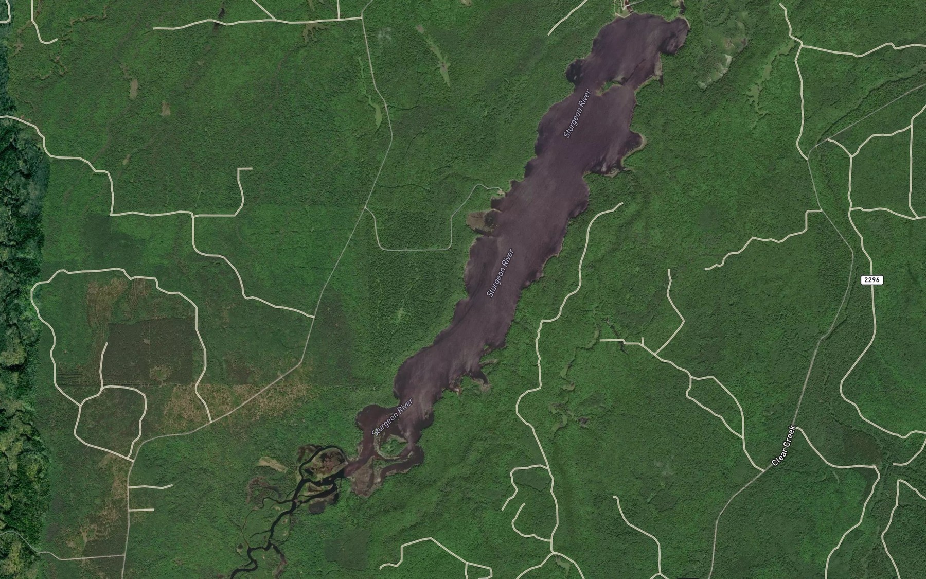 Satellite map of the Prickett Lake