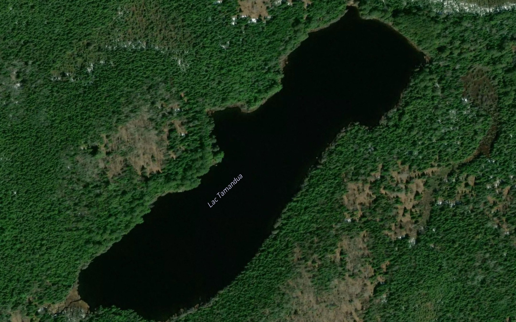 Satellite map of the Lac Tamandua