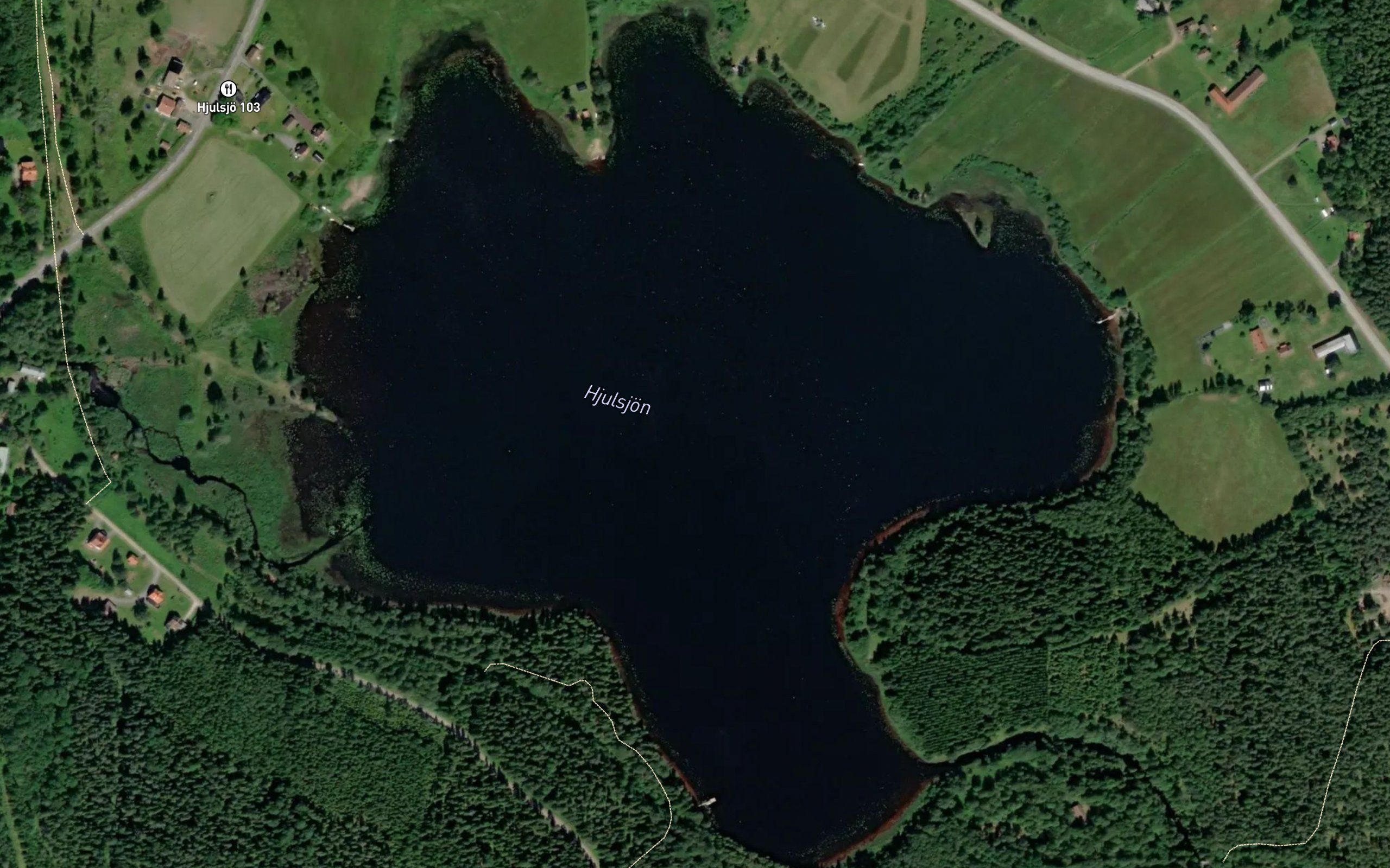 Hjulsjon