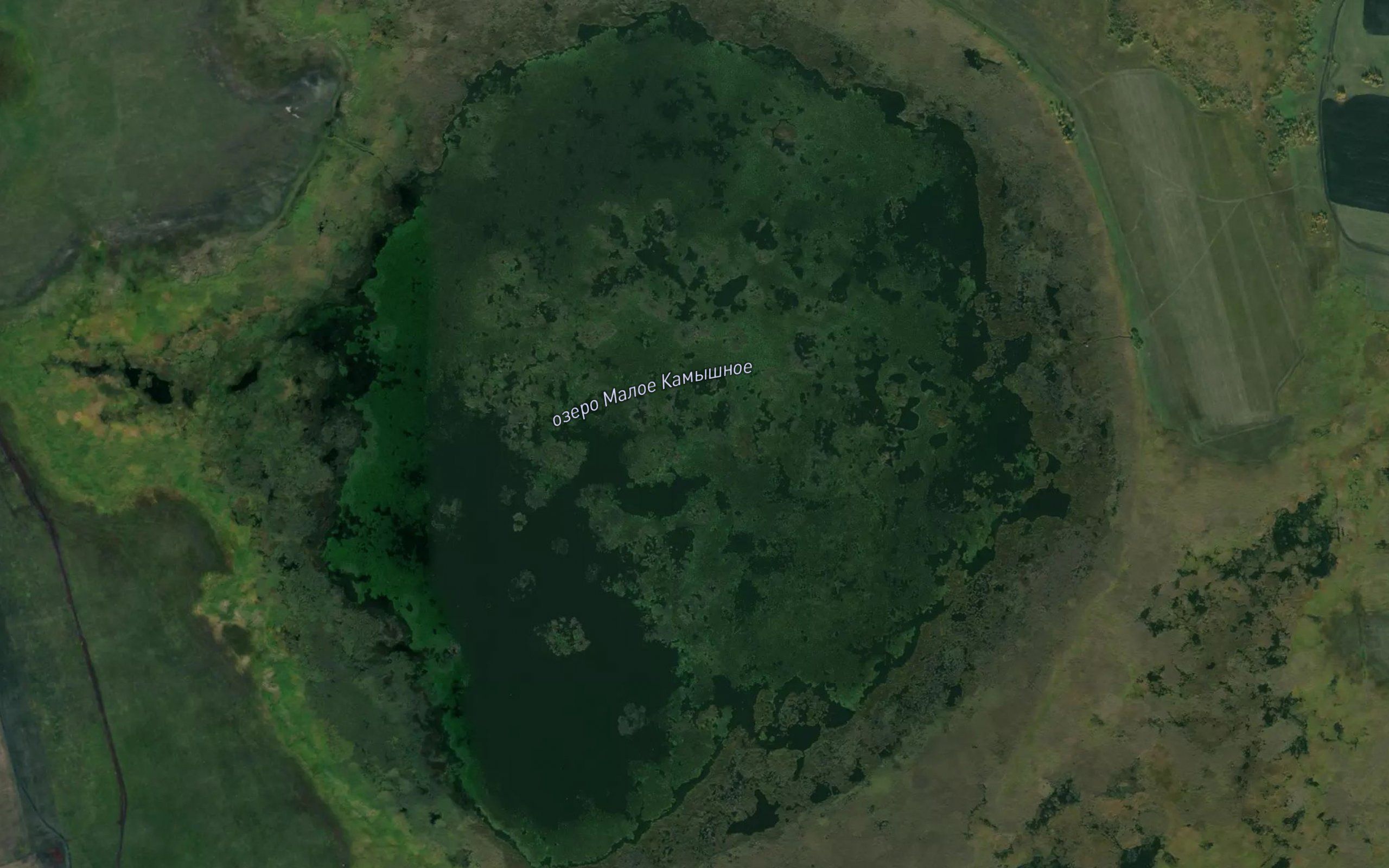 Ozero Maloye Kamyshnoye