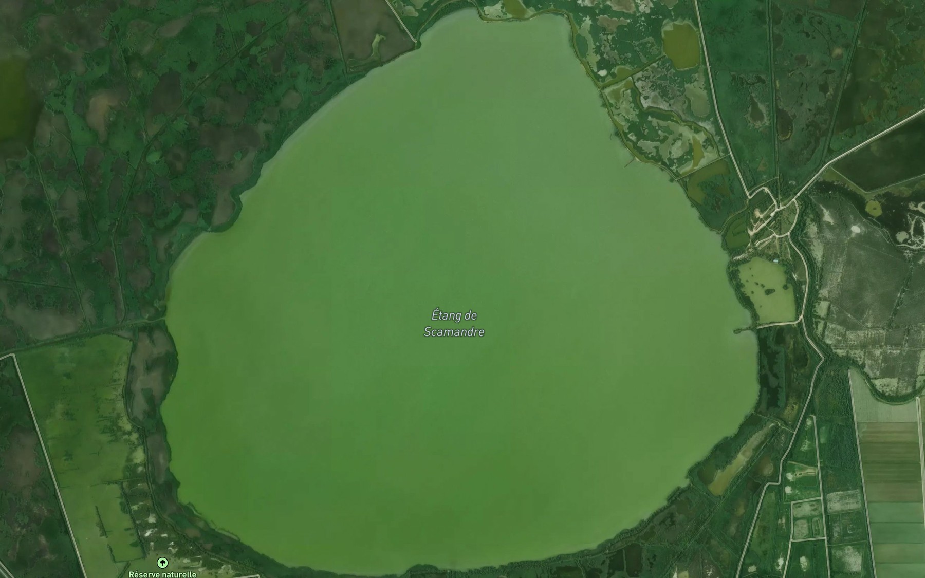 Satellite map of the Etang de Scamandre