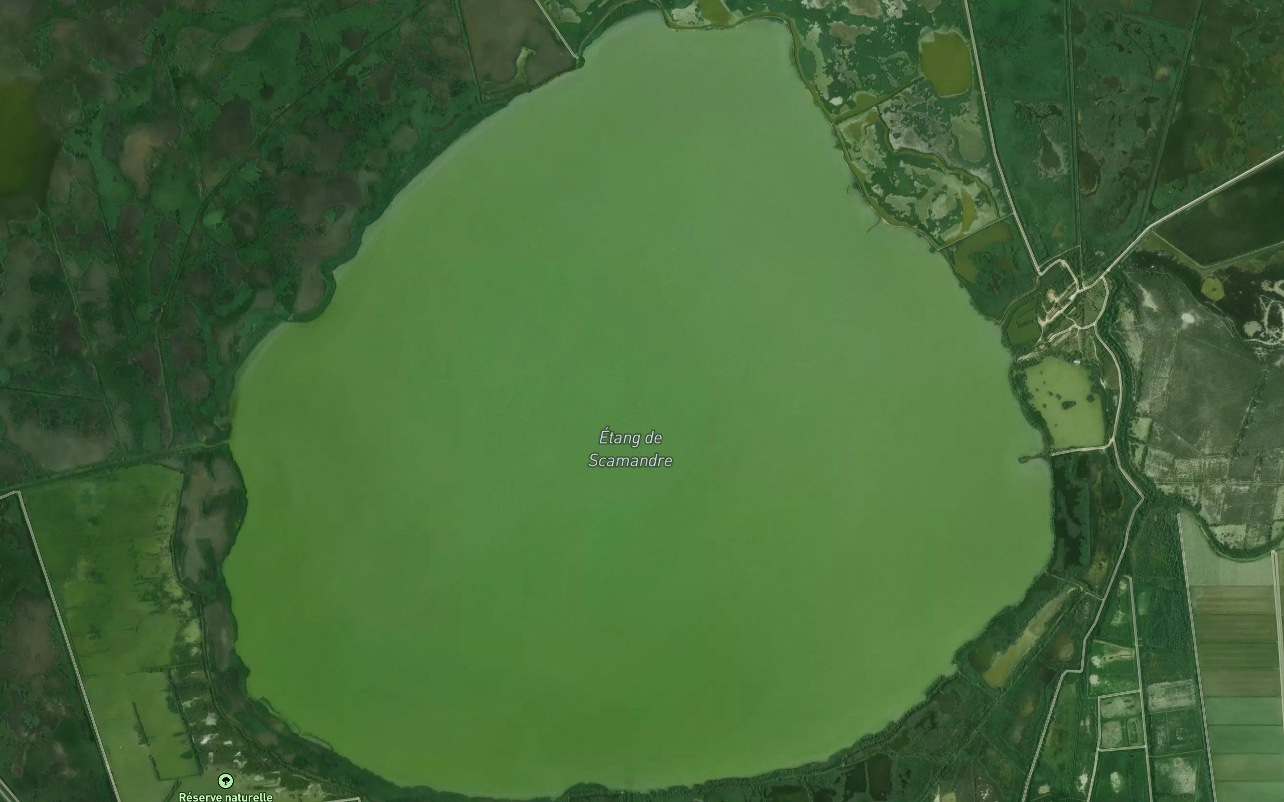Etang de Scamandre