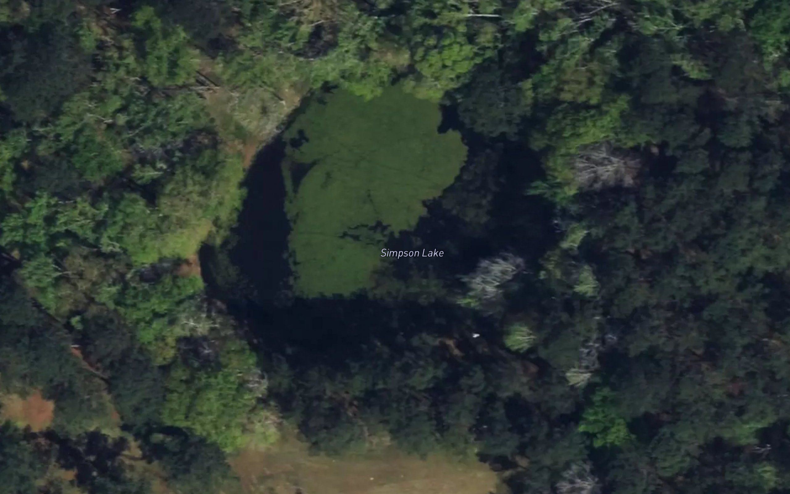 Simpson Lake