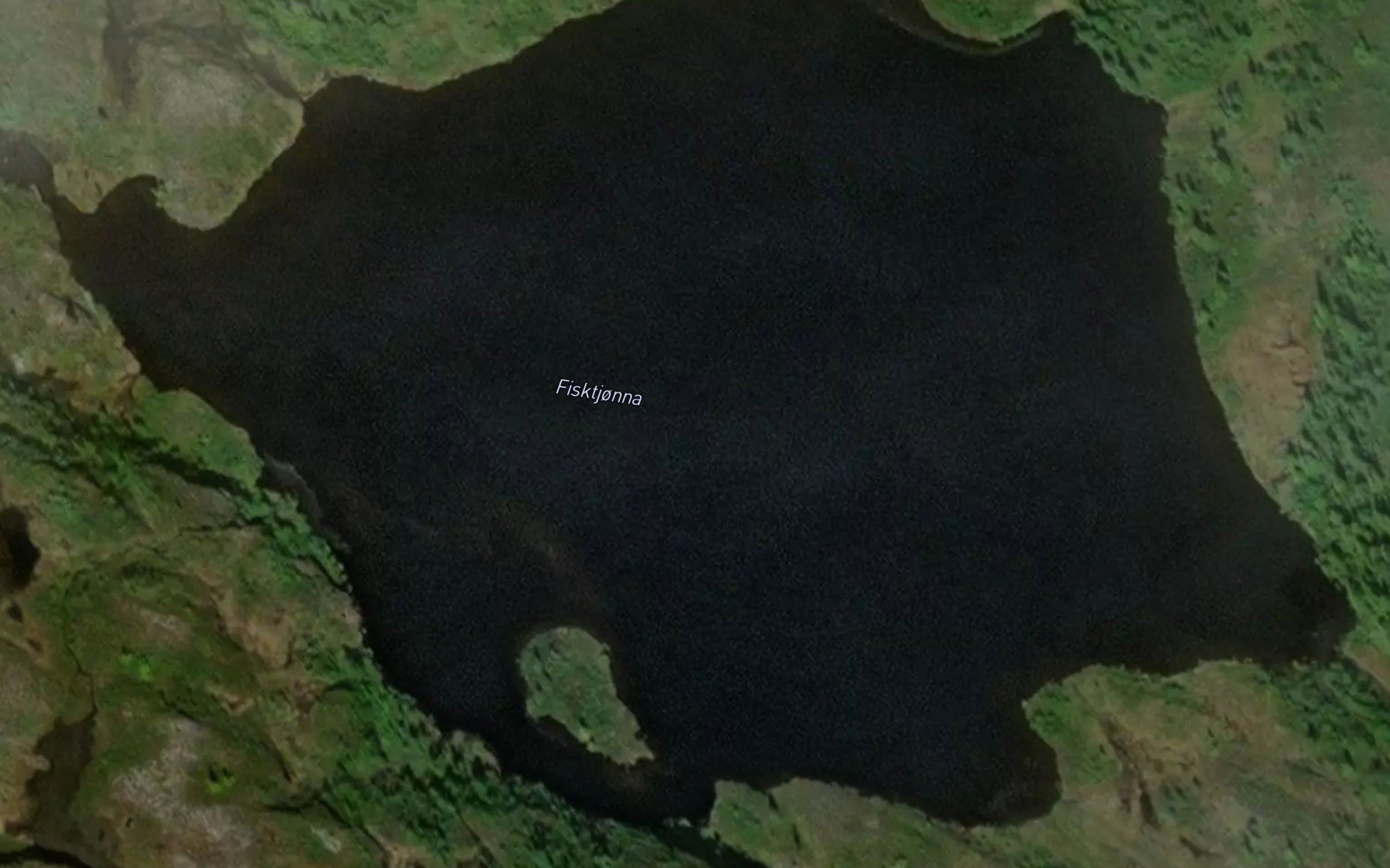 Fisktjorna