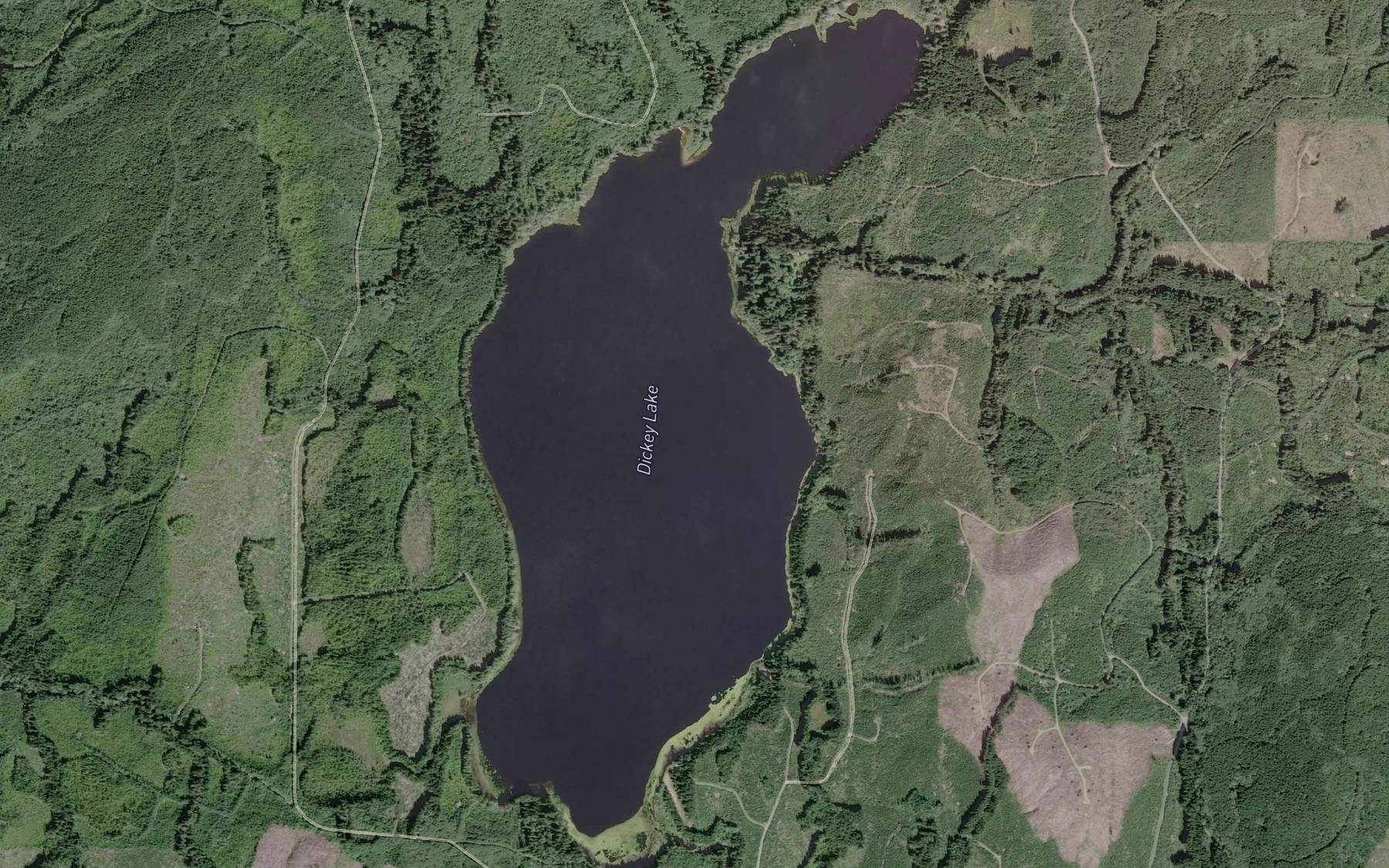 Satellite map of the Dickey Lake