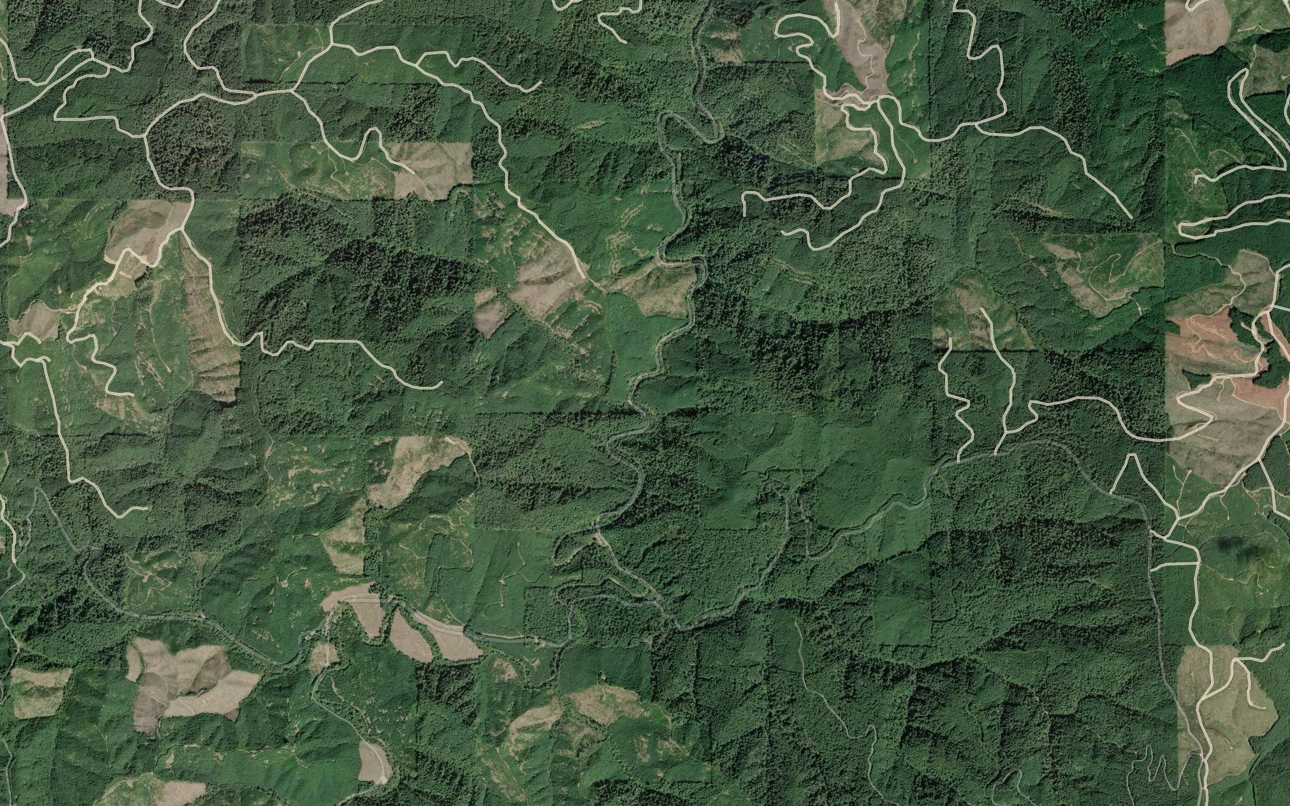 Hog Ranch Creek