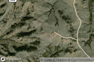 Satellite map of the 01N37E13CCAD01 Spring