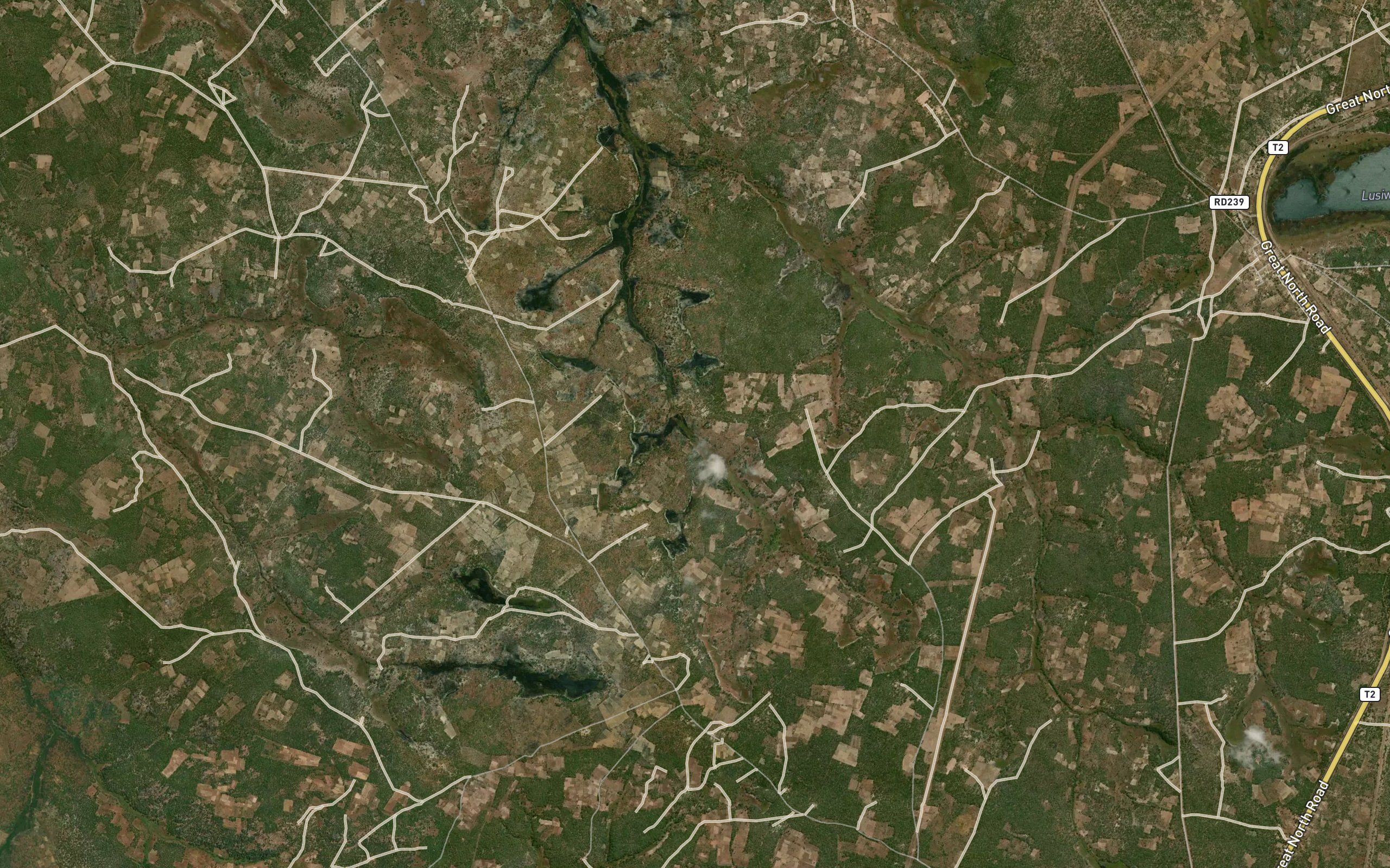 Kamuku