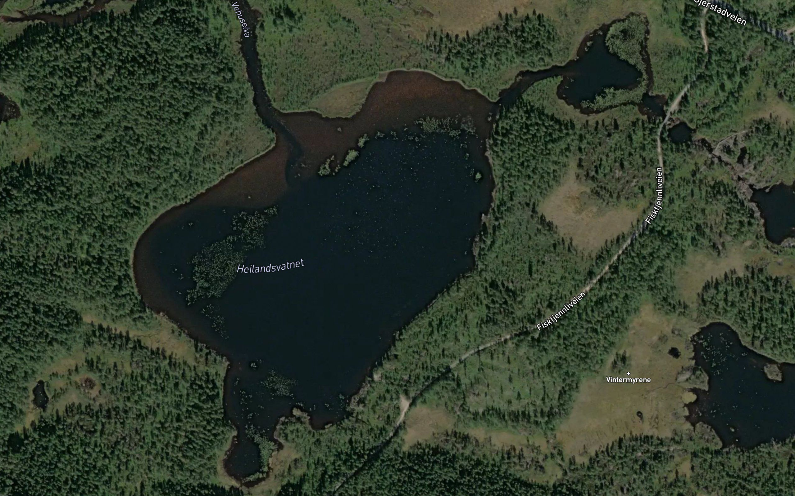 Heilandsvannet
