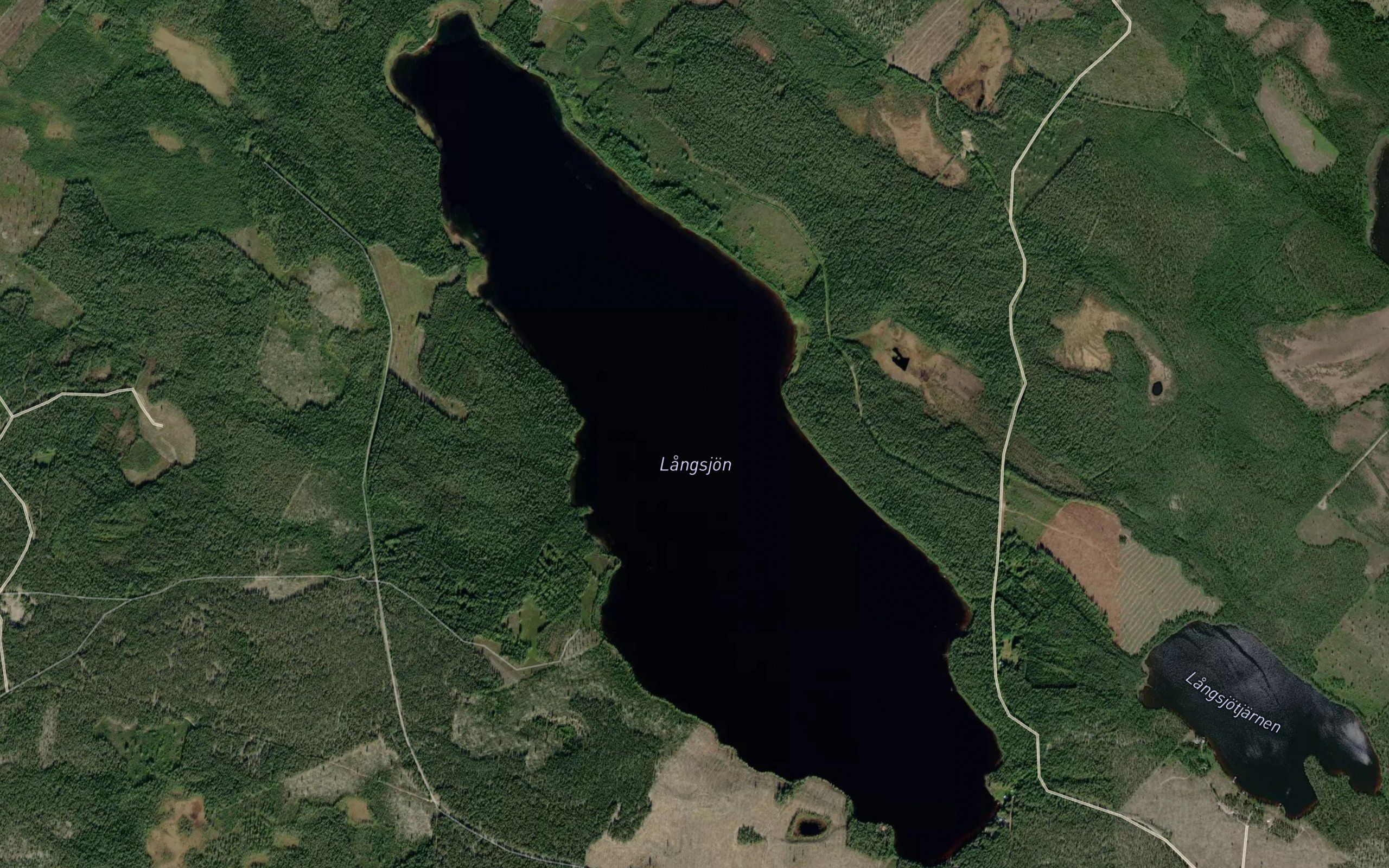 Langsjon