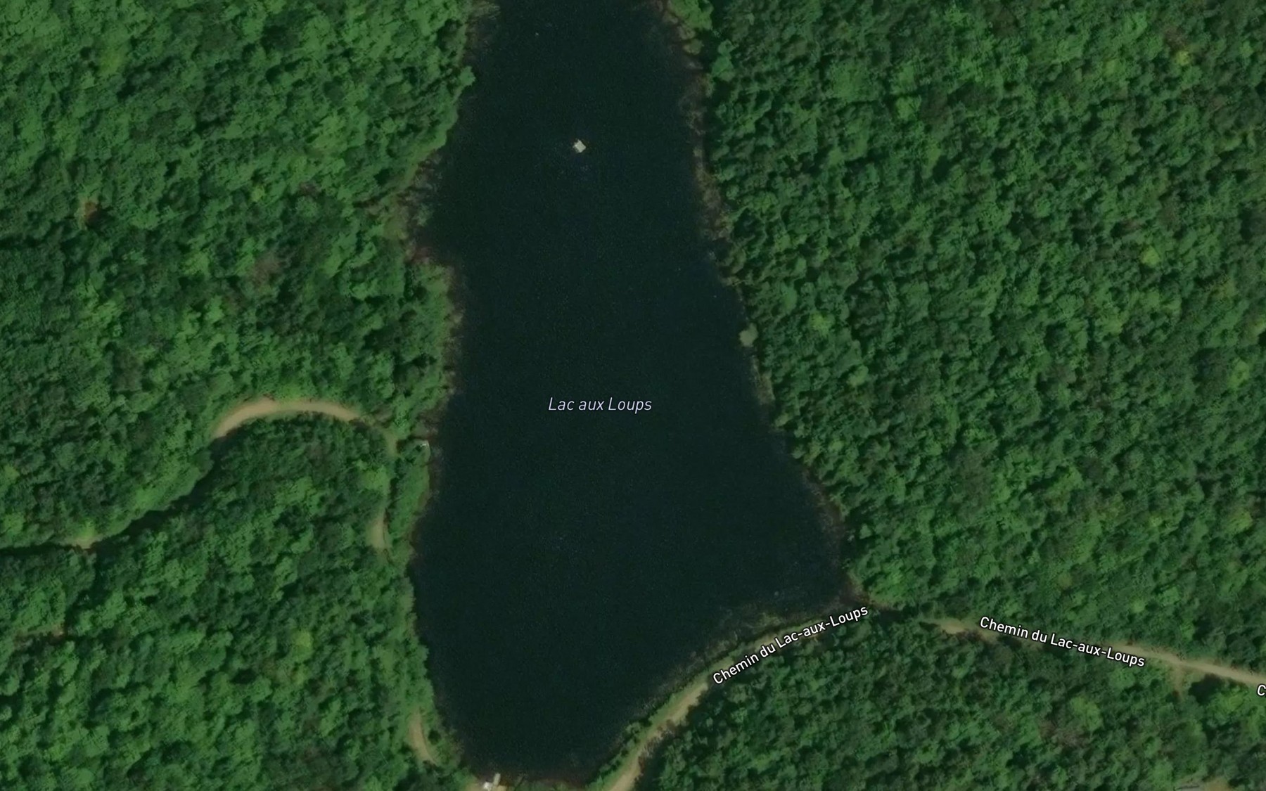 Satellite map of the Lac aux Loups