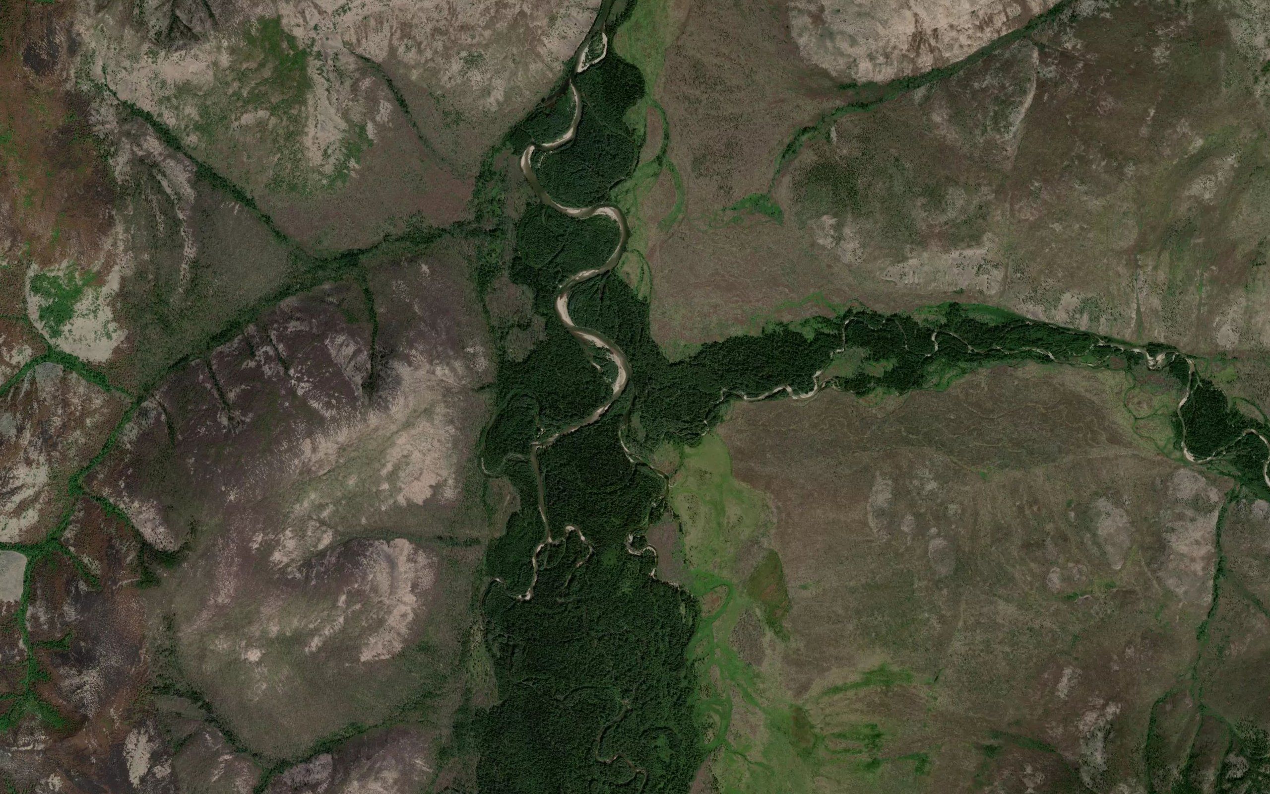 Dzhyubkogu