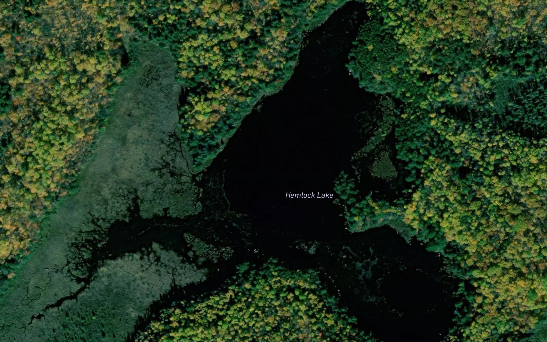 Satellite map of the Hemlock Lake