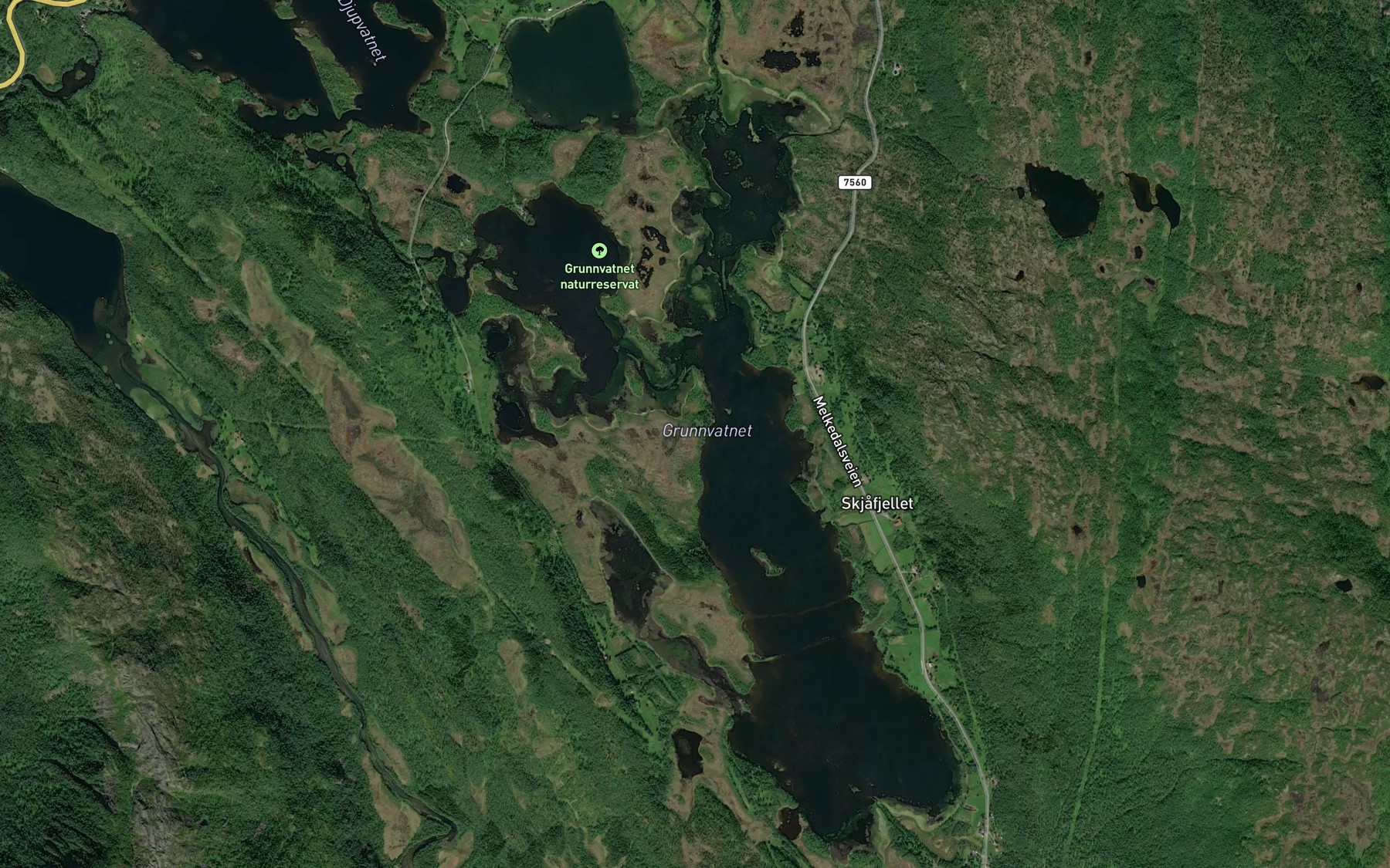 Satellite map of the Grunnvatnet