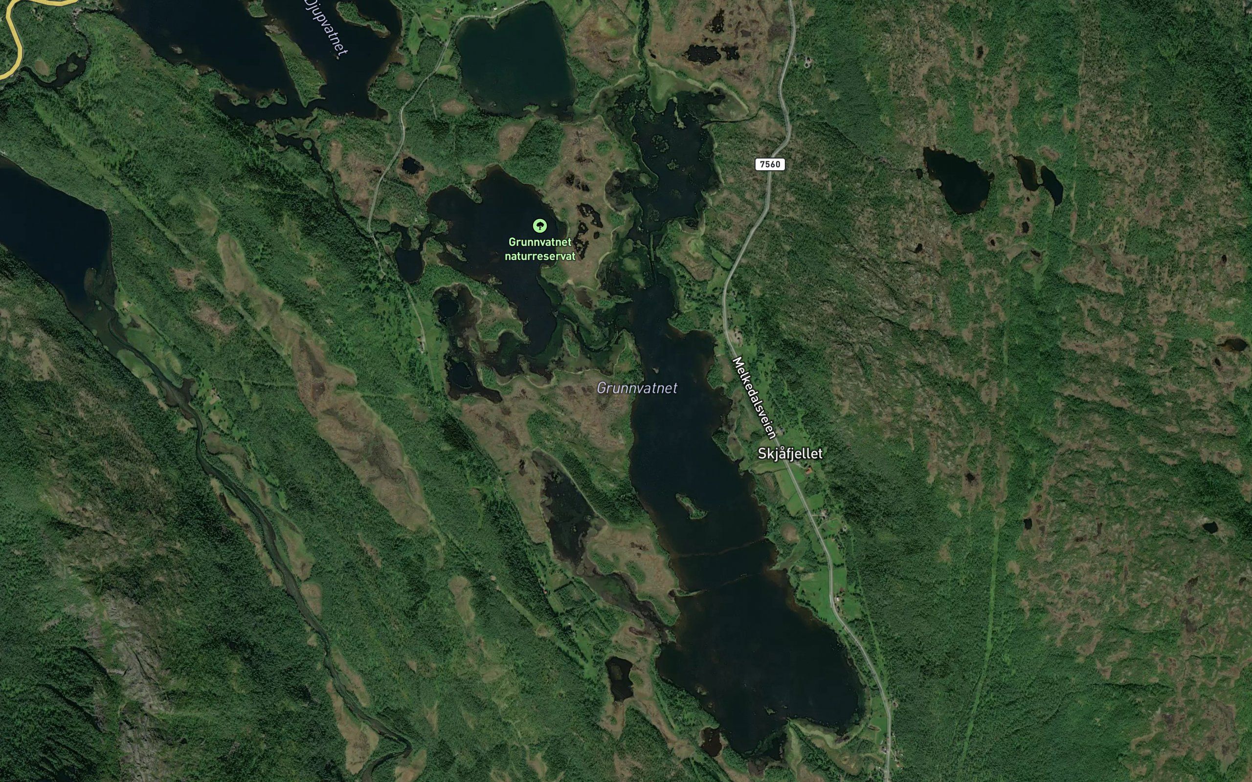 Grunnvatnet