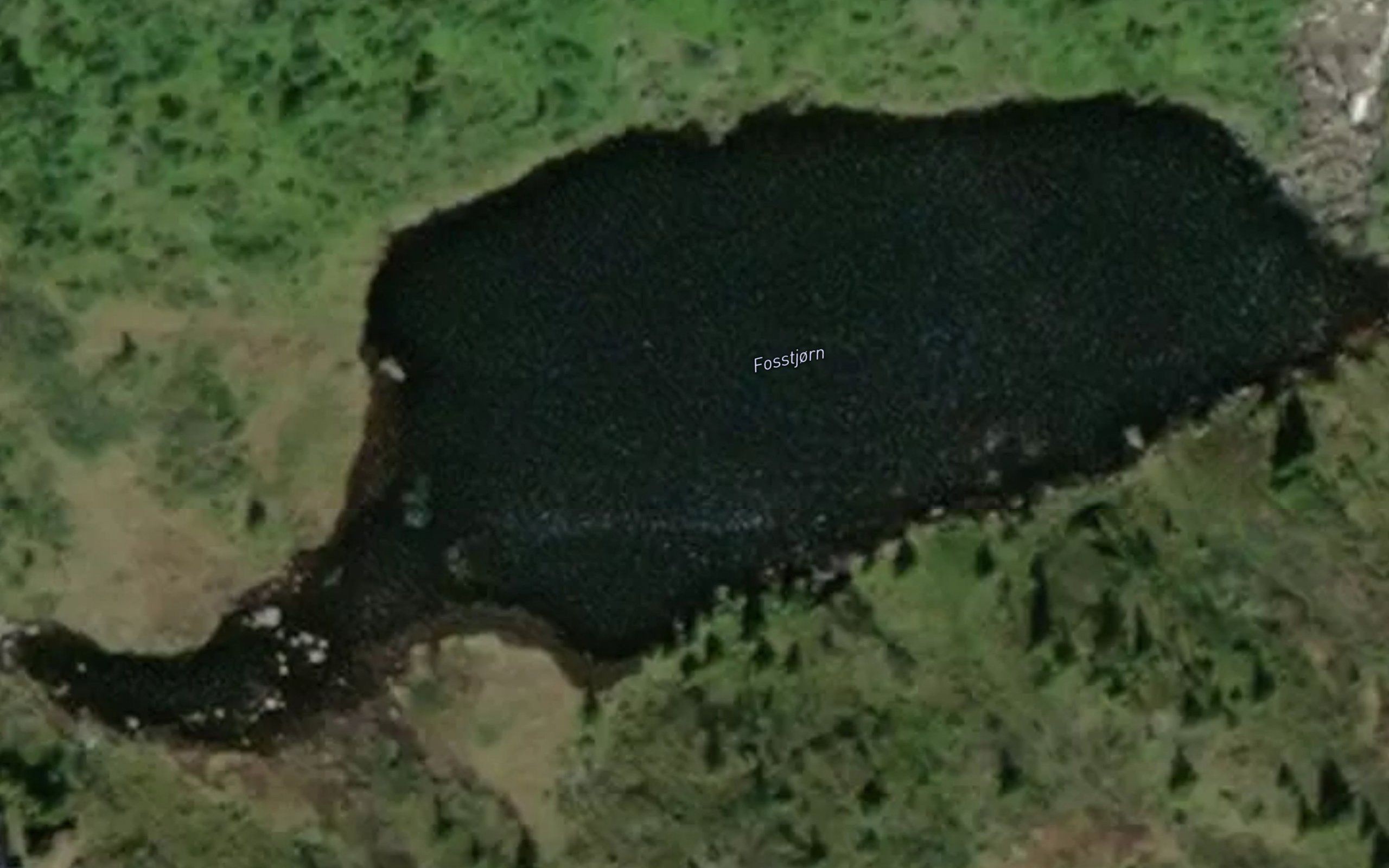 Fosstjorn