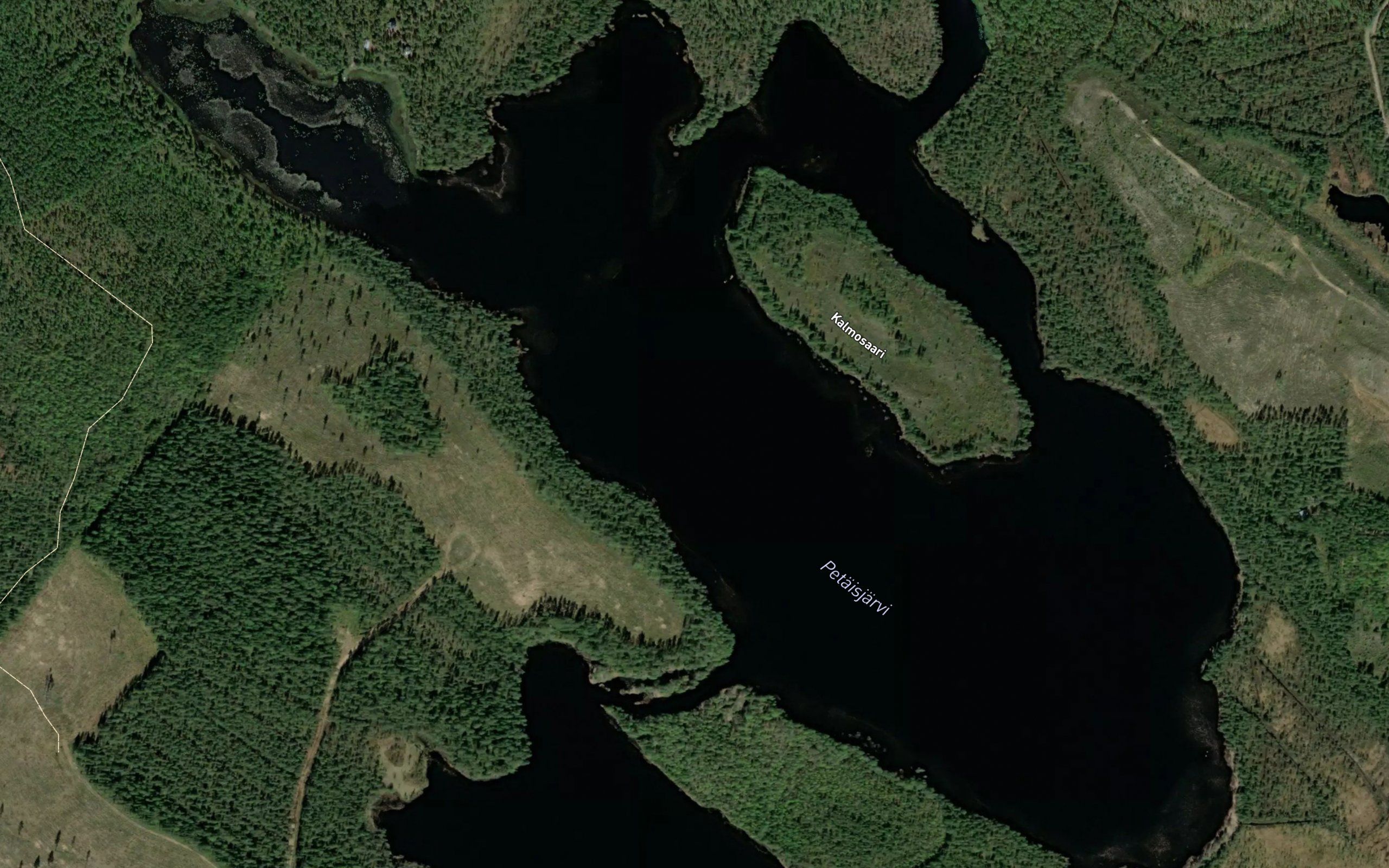 Pettaisjarvi