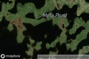 Meta Pond