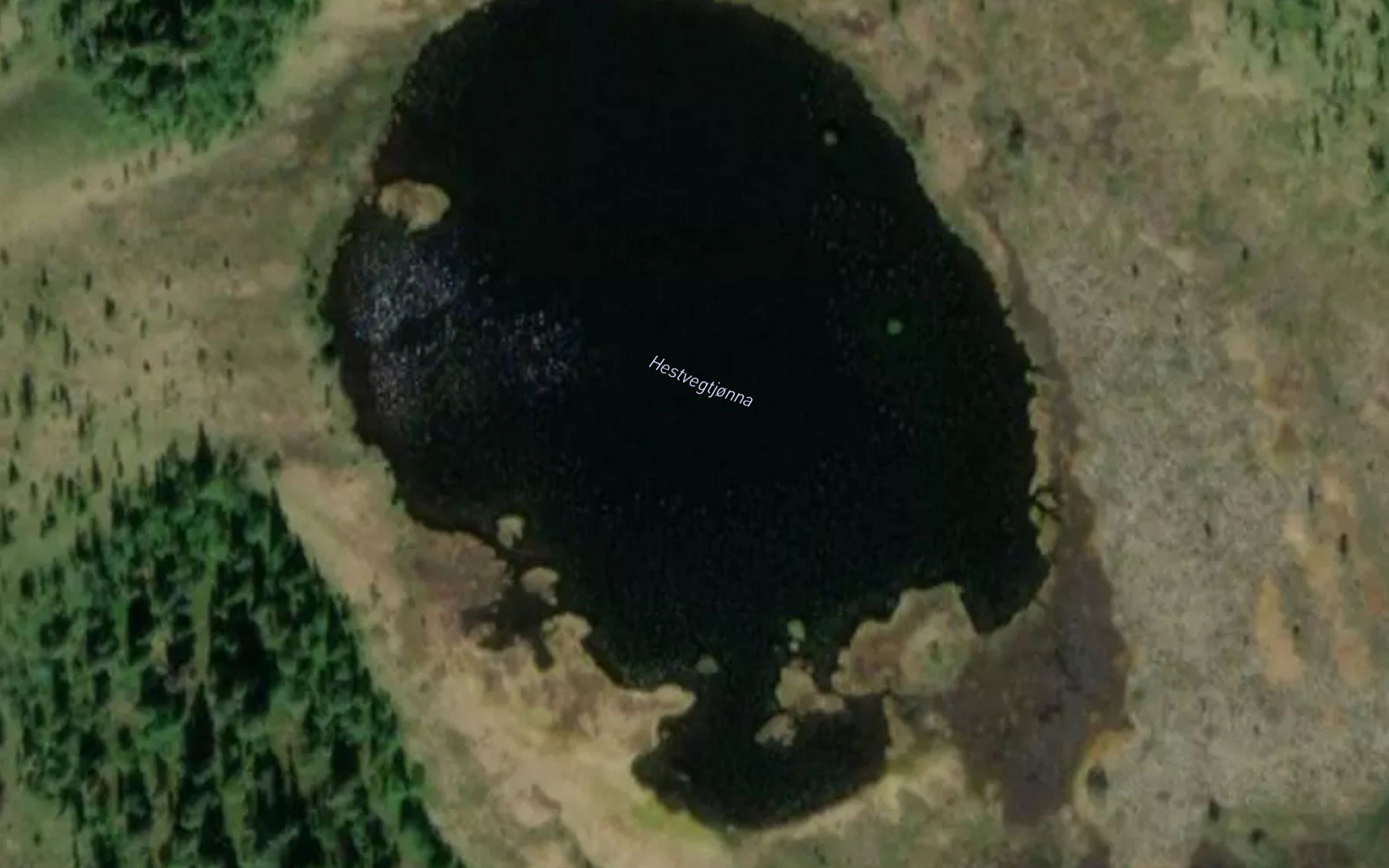 Hestvegtjorna