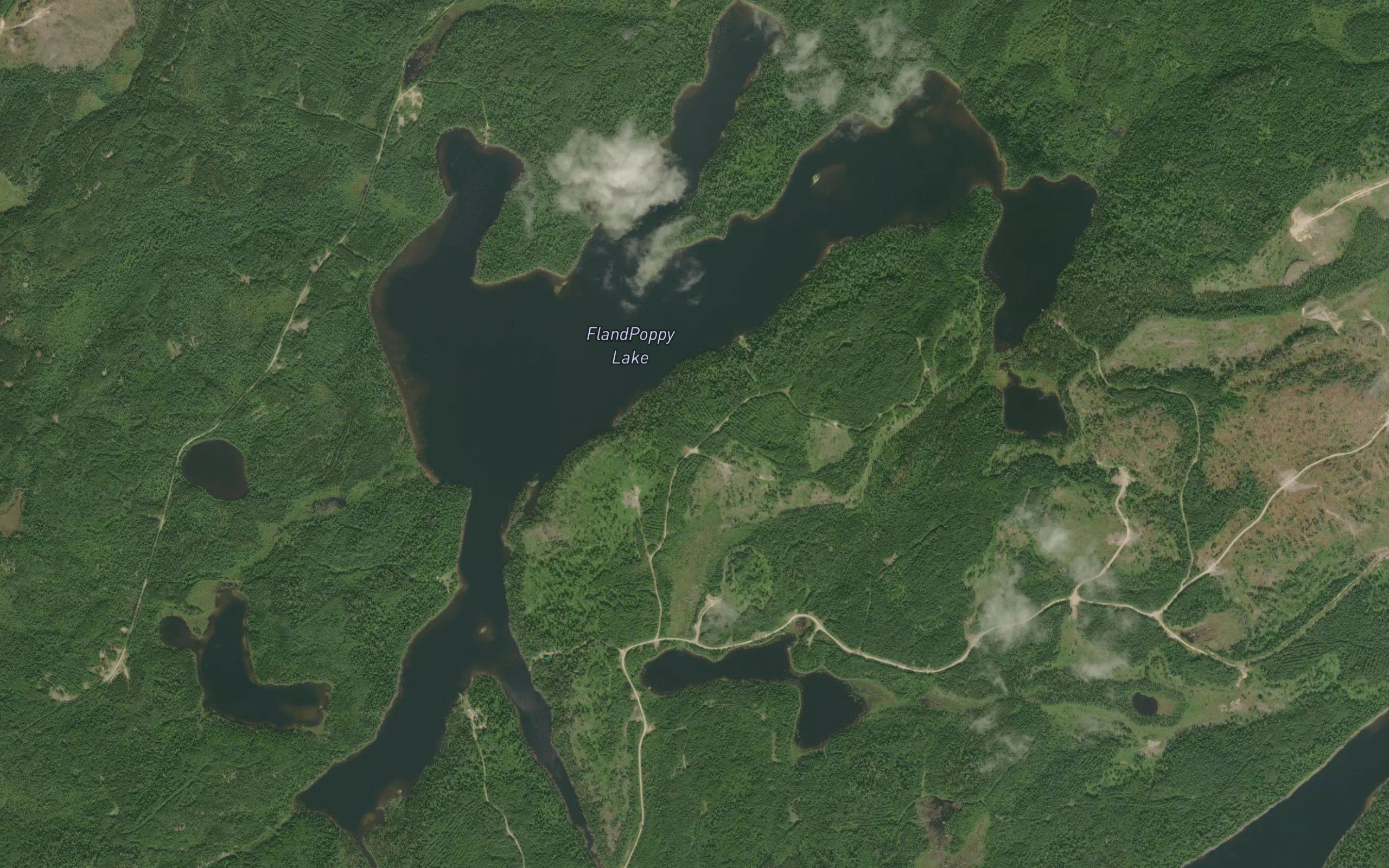 Poppy Lake