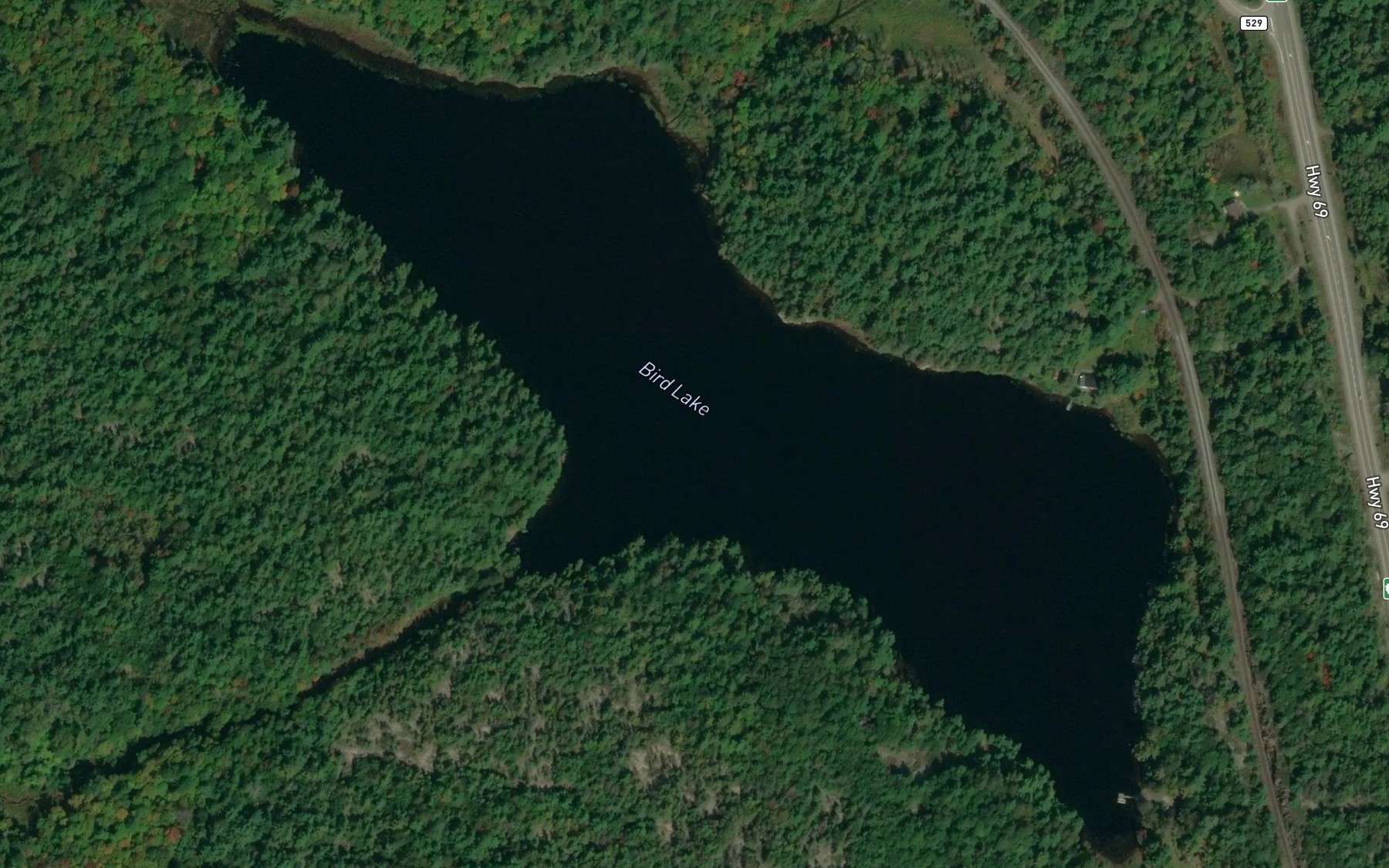Satellite map of the Bird Lake