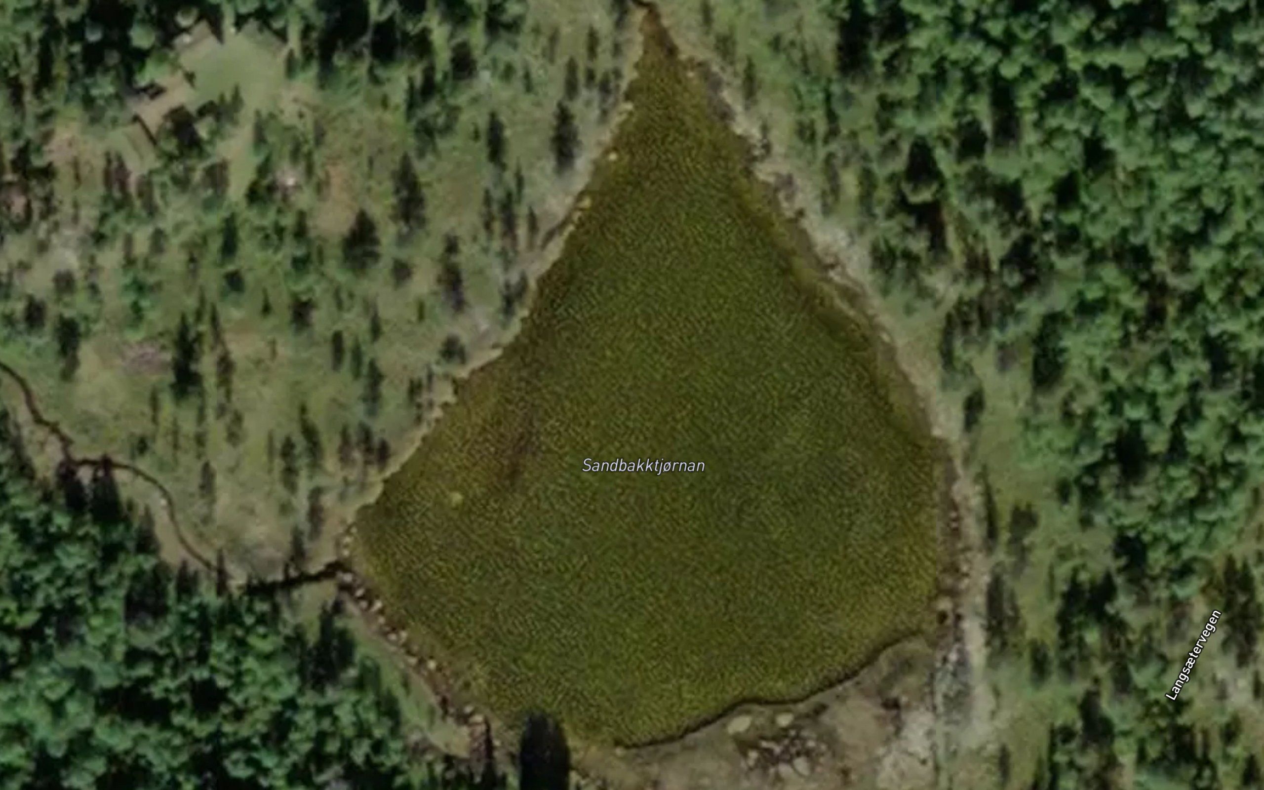 Sandbakktjornan