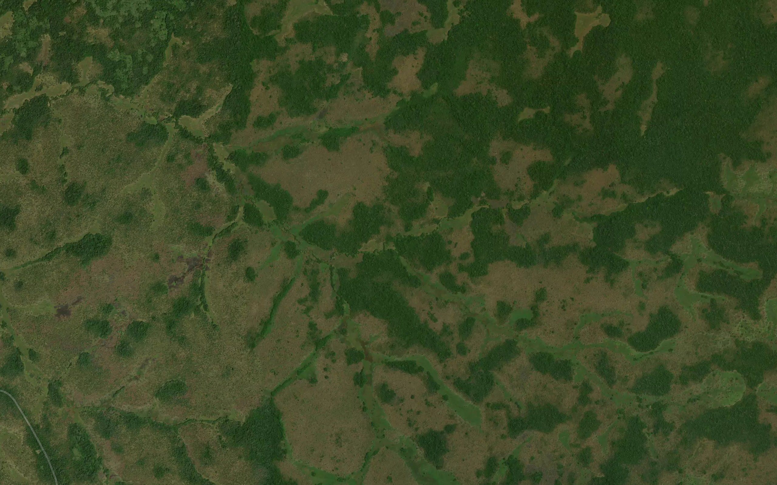 Tambuada