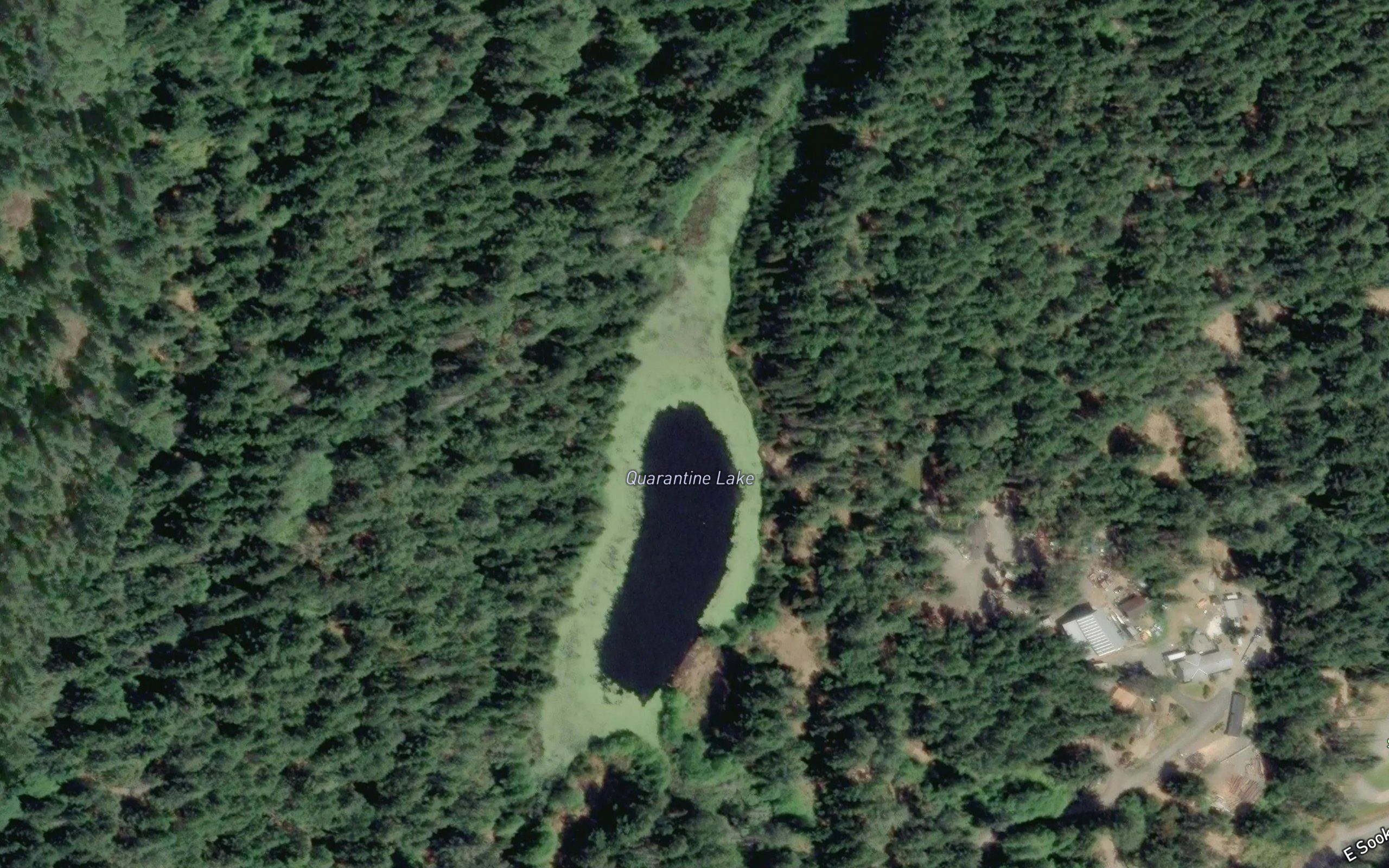 Quarantine Lake