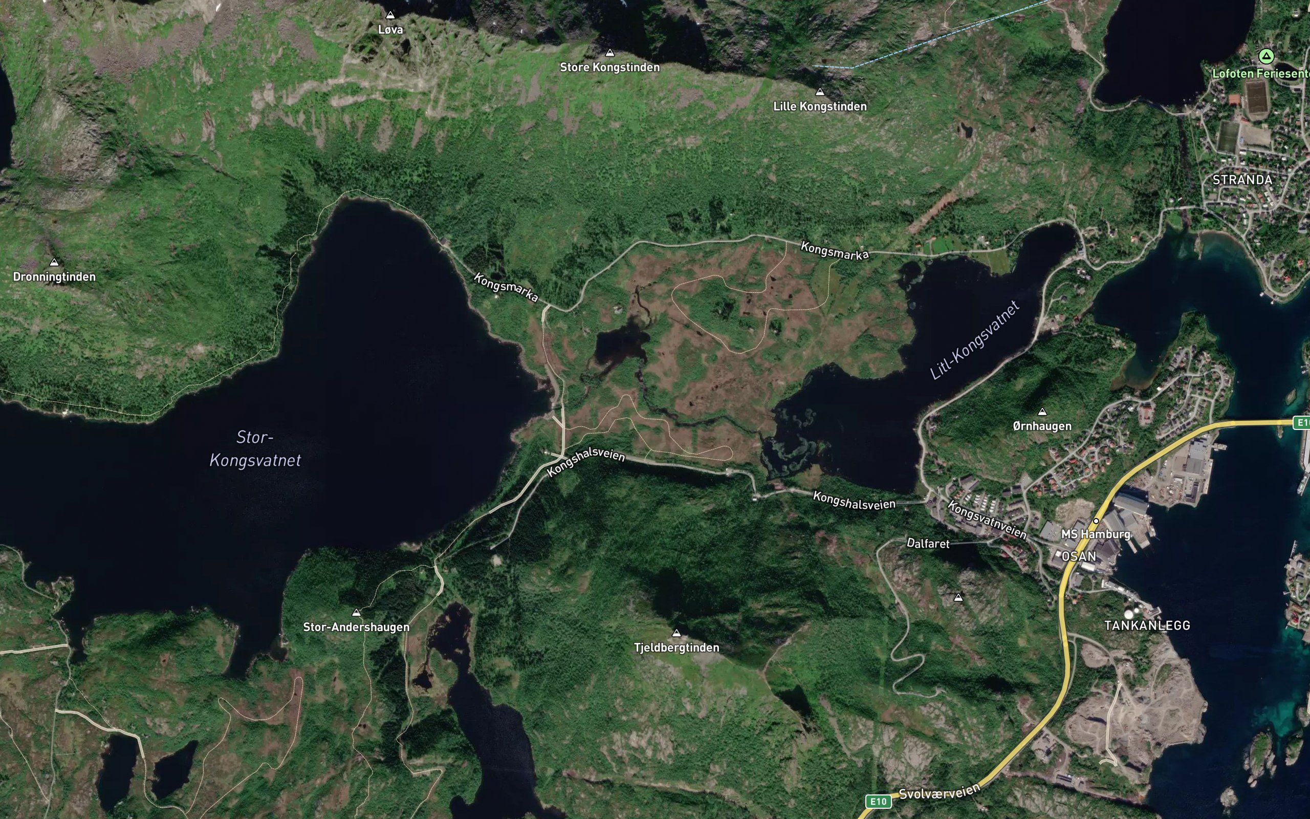 Kongselva