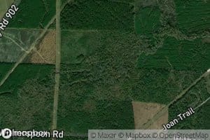 Brown Springs Branch