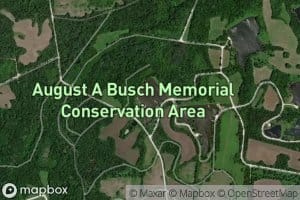 August A Busch Lake Number 7